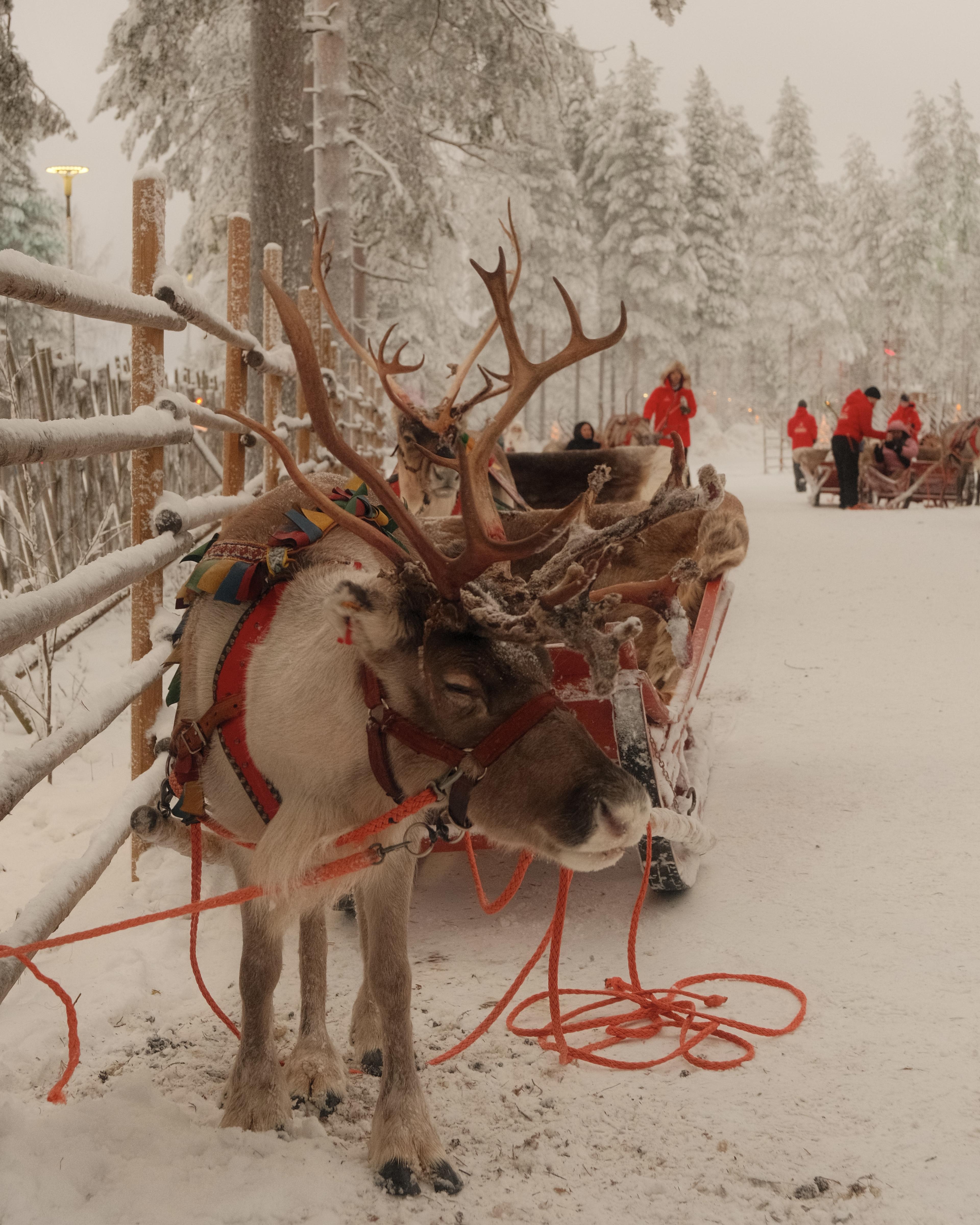 Arctic Circle: Santa Claus Village