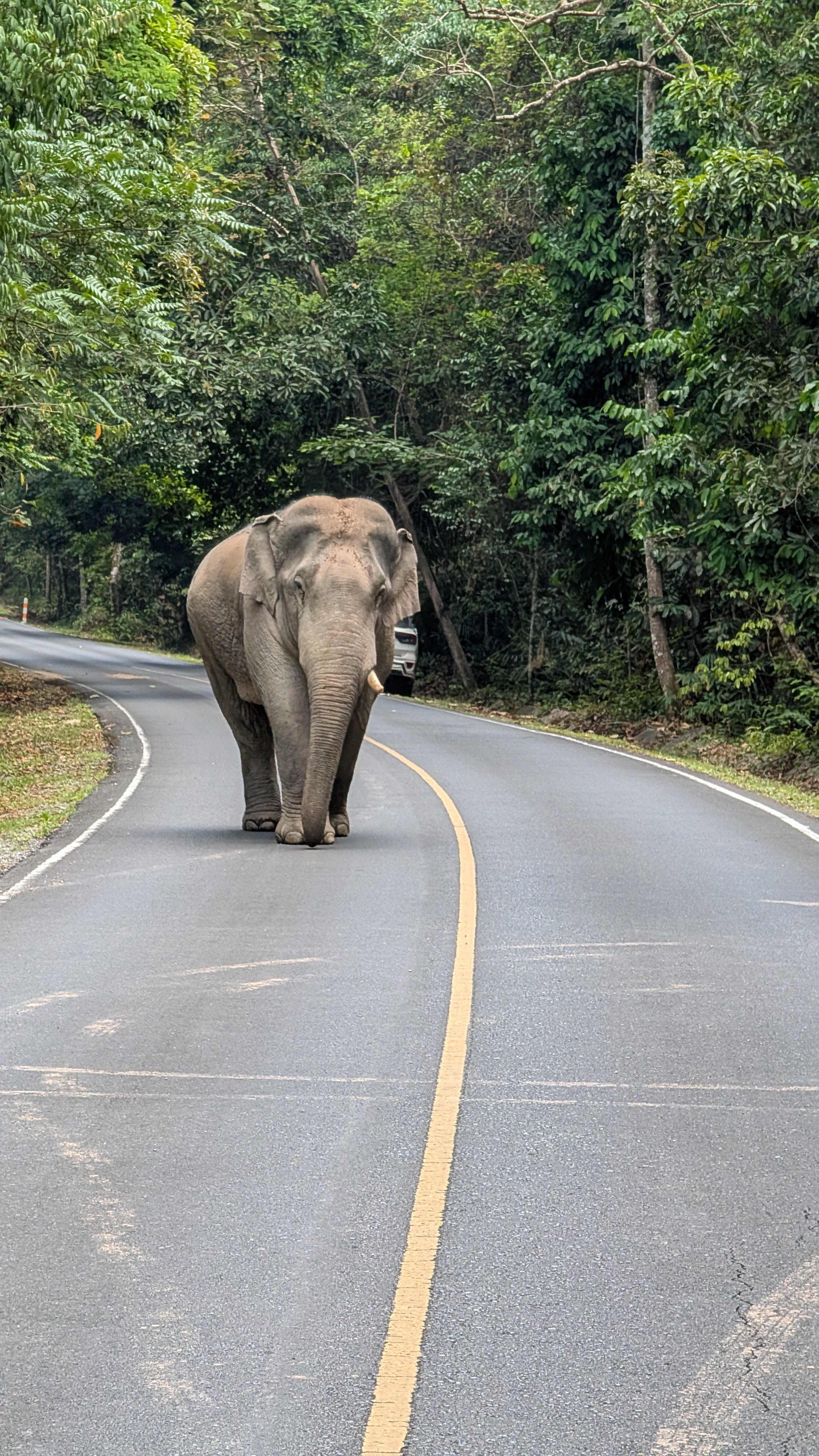 Advisor - Family-Friendly Luxury: From Bangkok's Bustle to Island Bliss & Jungle Adventures