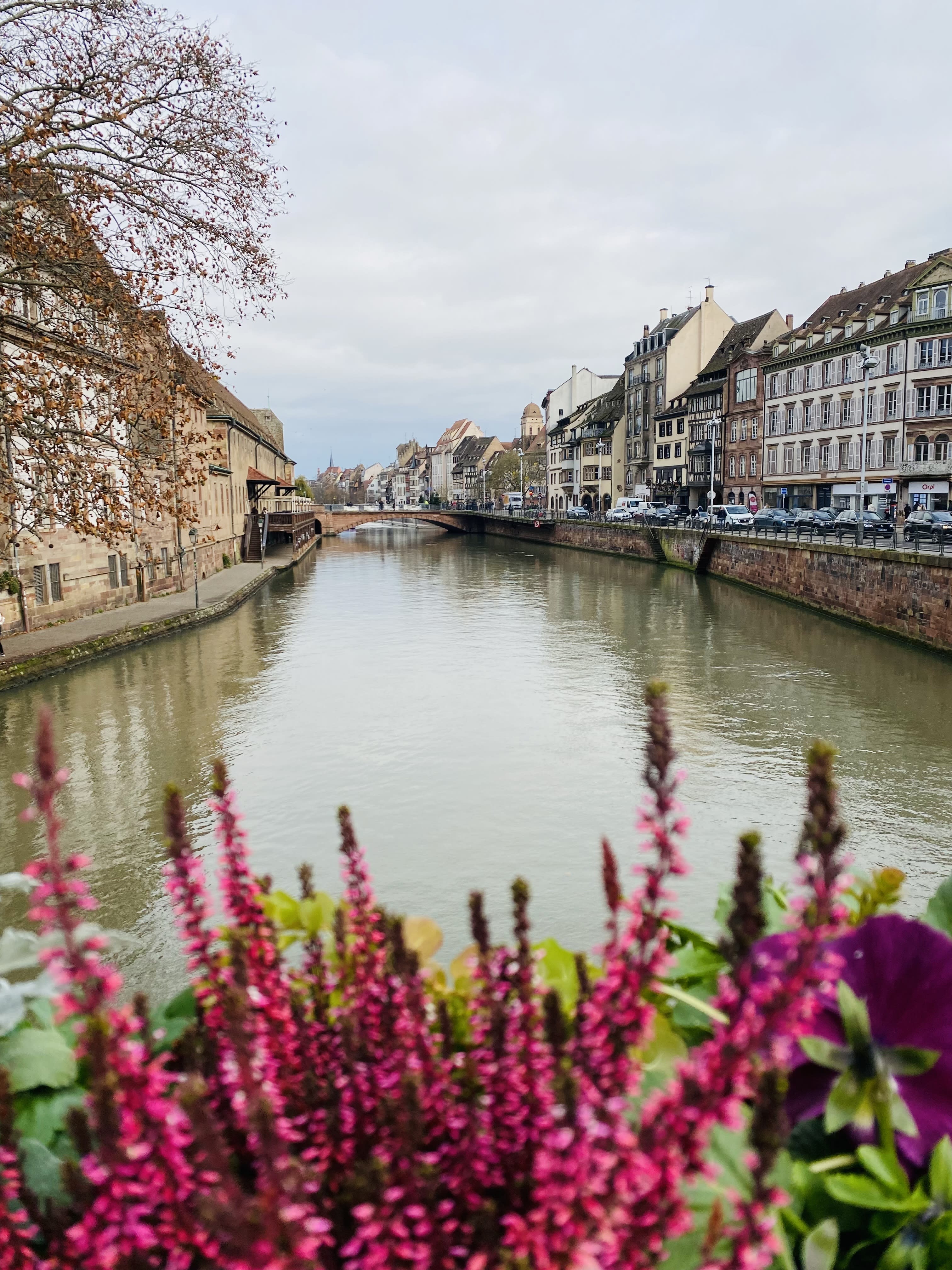 From Amsterdam to Basel: 25th Anniversary Viking River Cruise