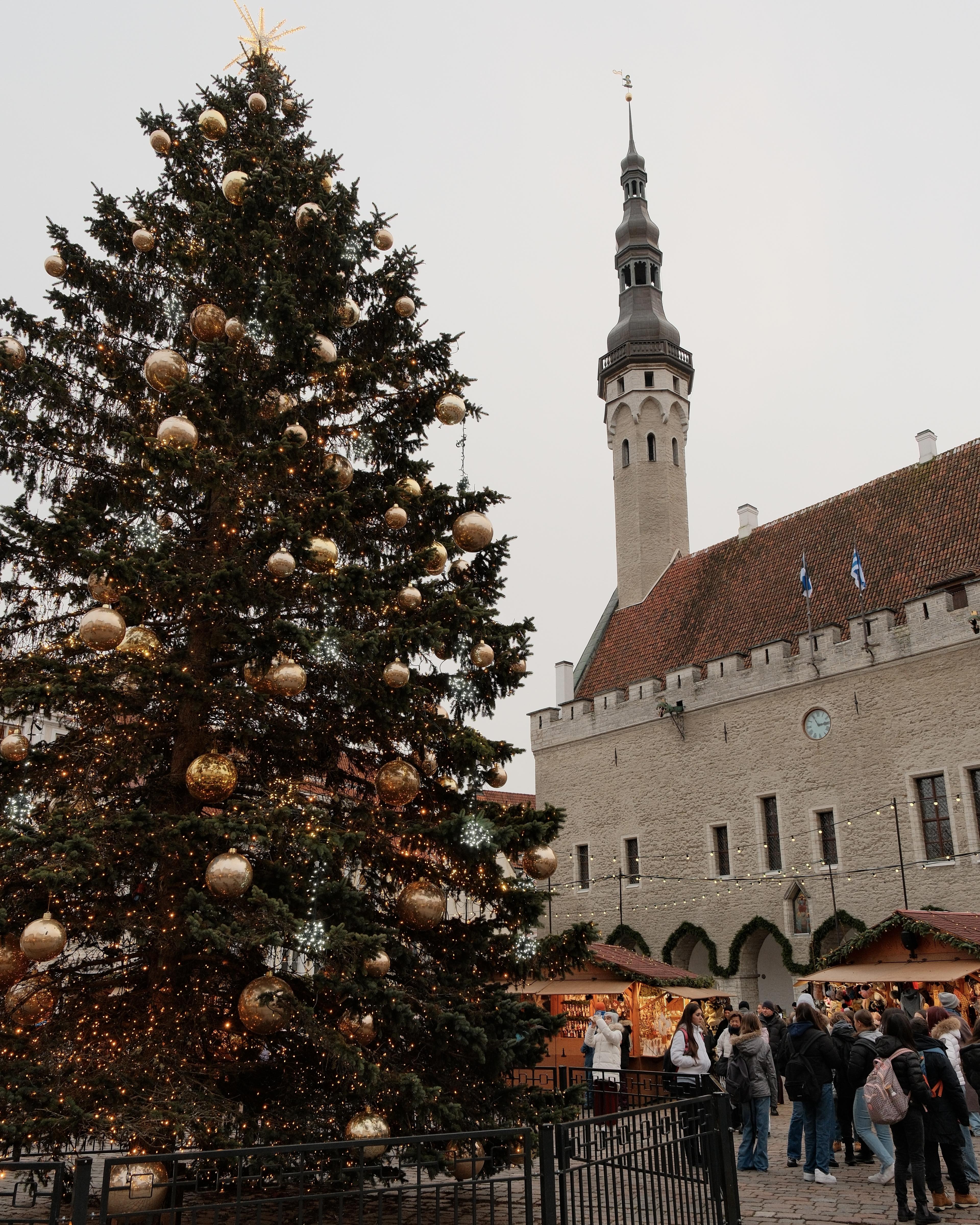 Advisor - Christmas Season in Tallinn