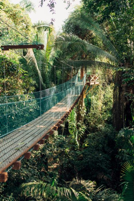 5 Retreat-Ready Stays for Transformative Getaways