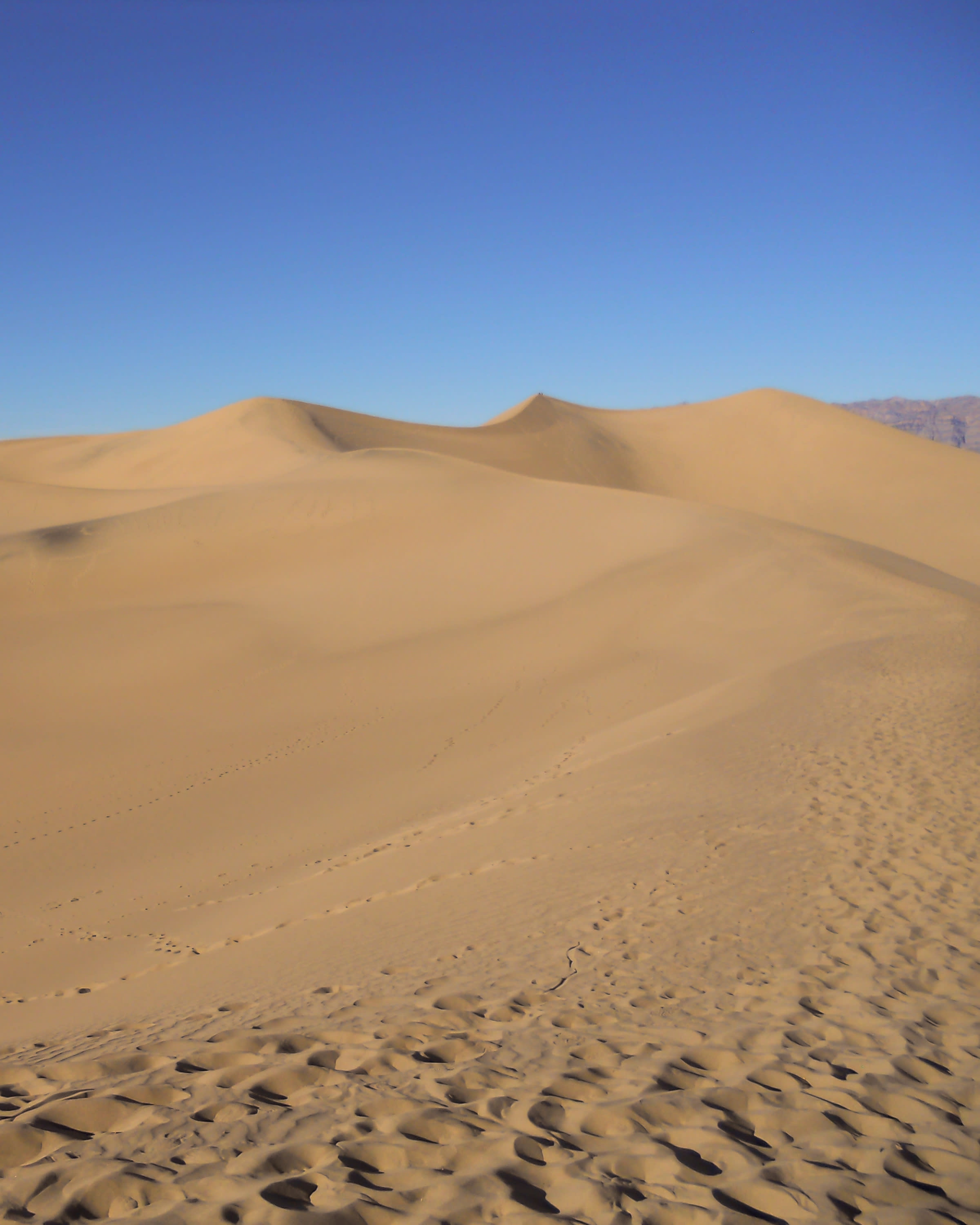 Advisor - Winter Desert Oasis in Death Valley National Park
