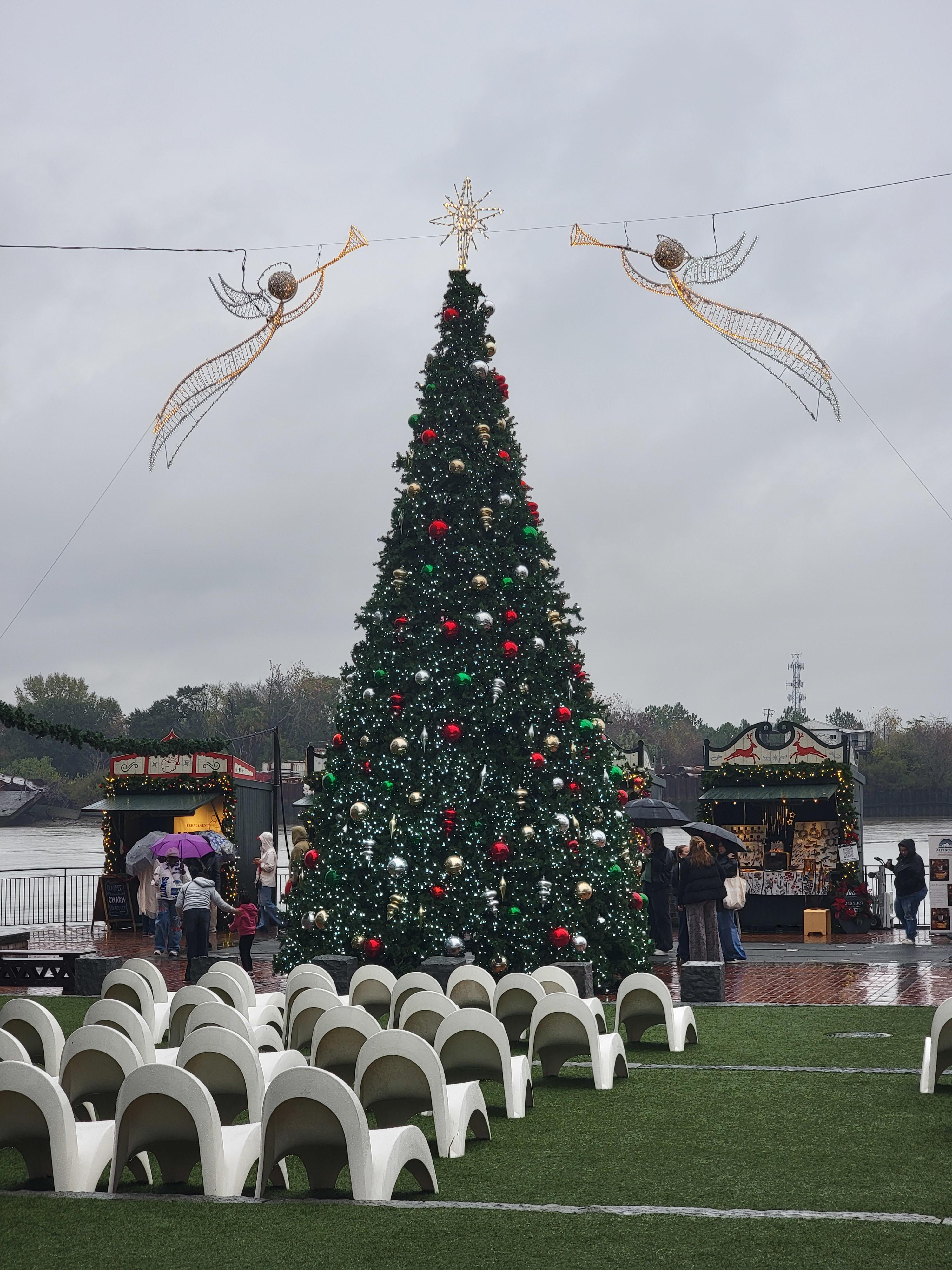Advisor - Savannah in a Snap: Winter Weekend Itinerary