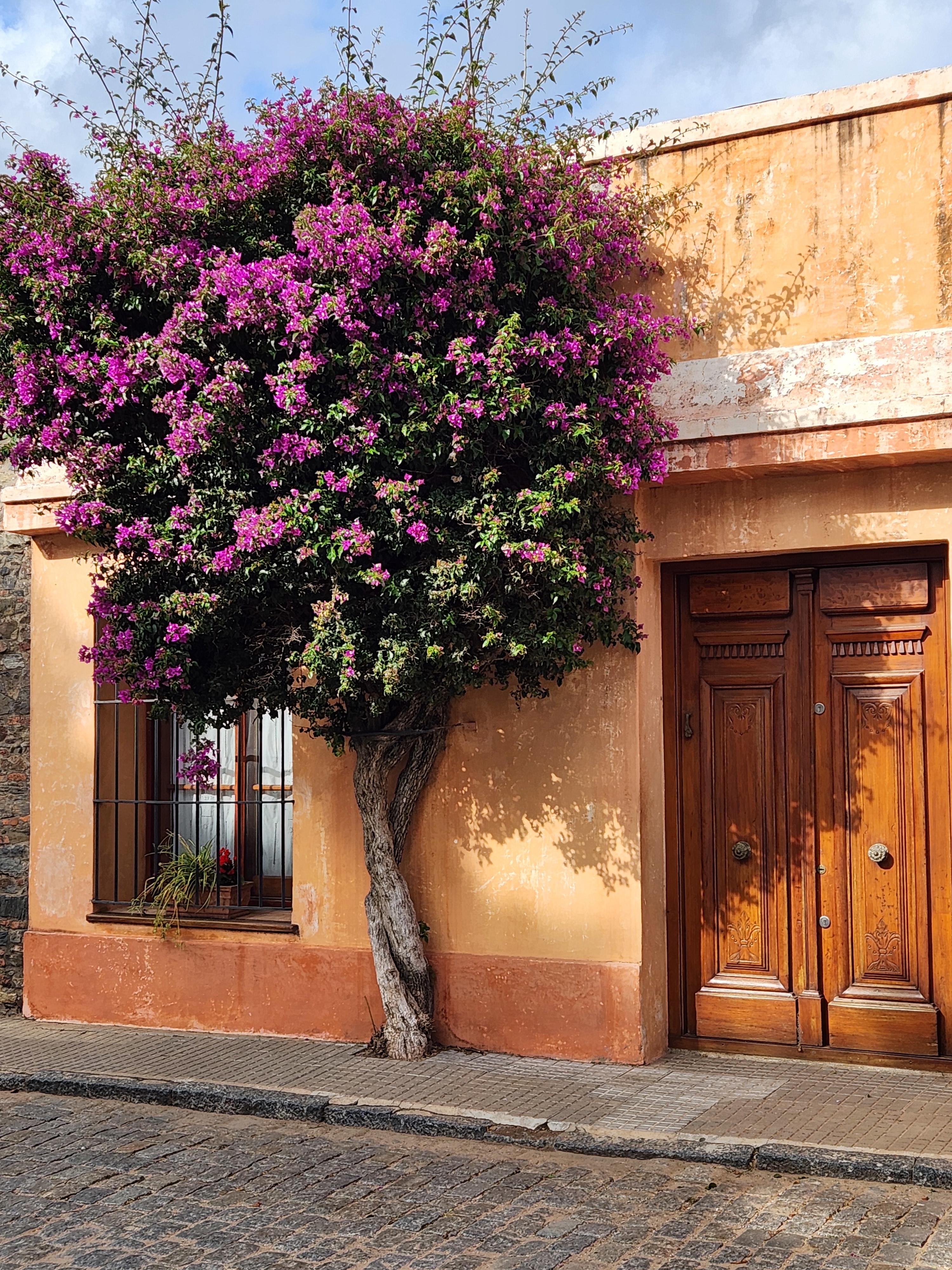 Advisor - 5 Days in Montevideo: Streets, Sea Breezes & Day Trips Worth Taking