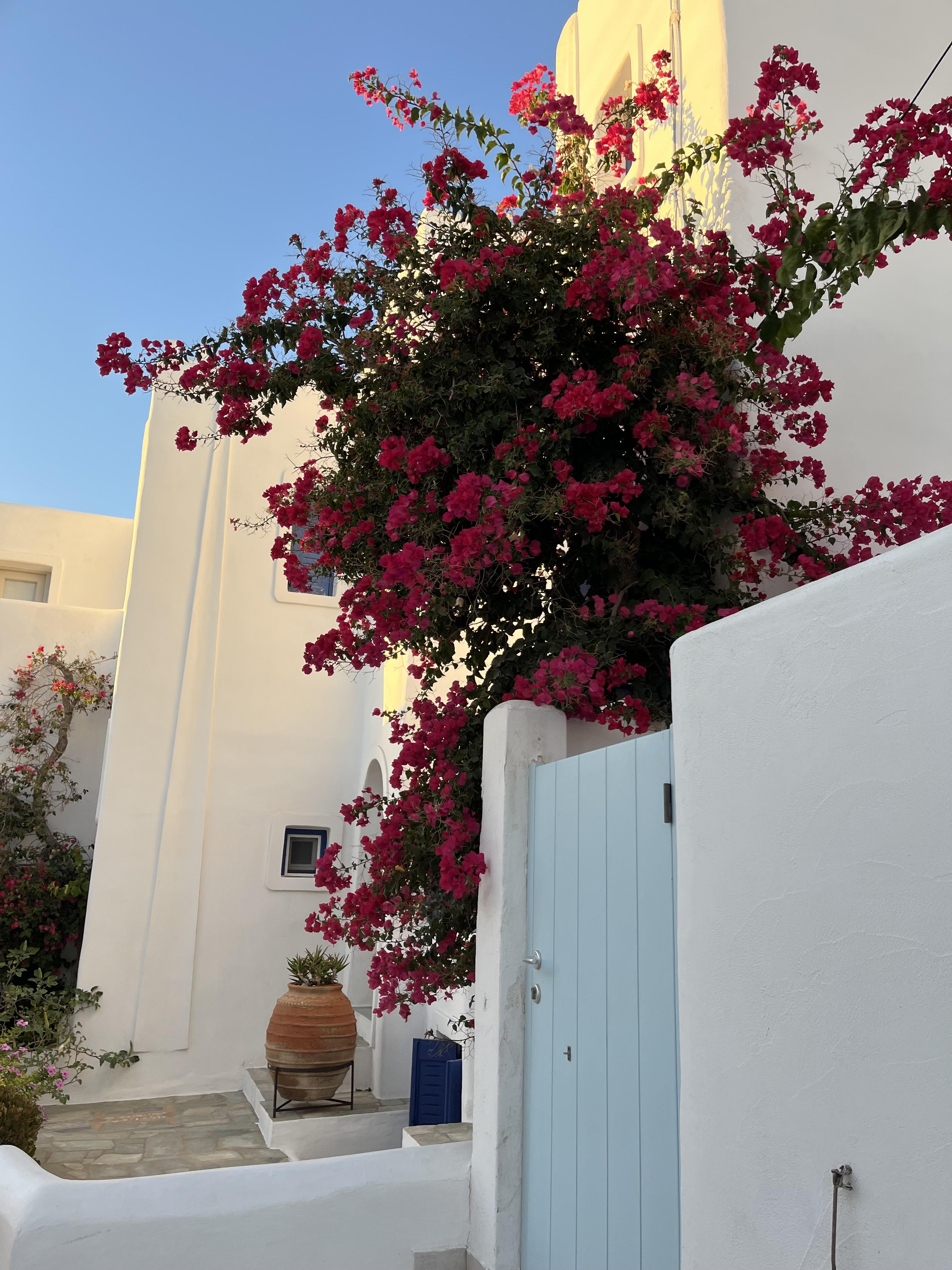 Greece with Teens: 8 Days in Athens & Paros