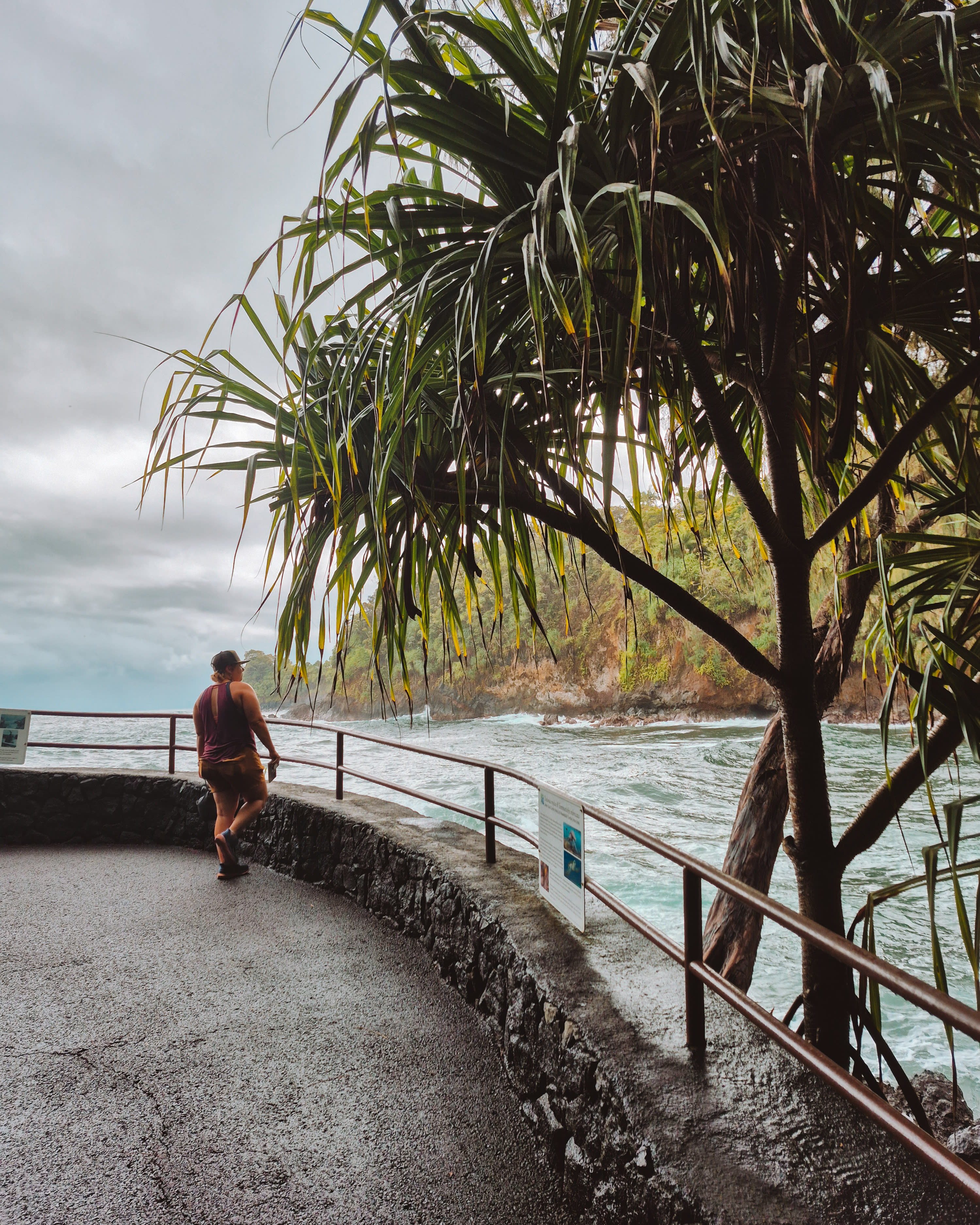 Advisor - Island-Hopping Hawaii: 10 Days on Maui & the Big Island
