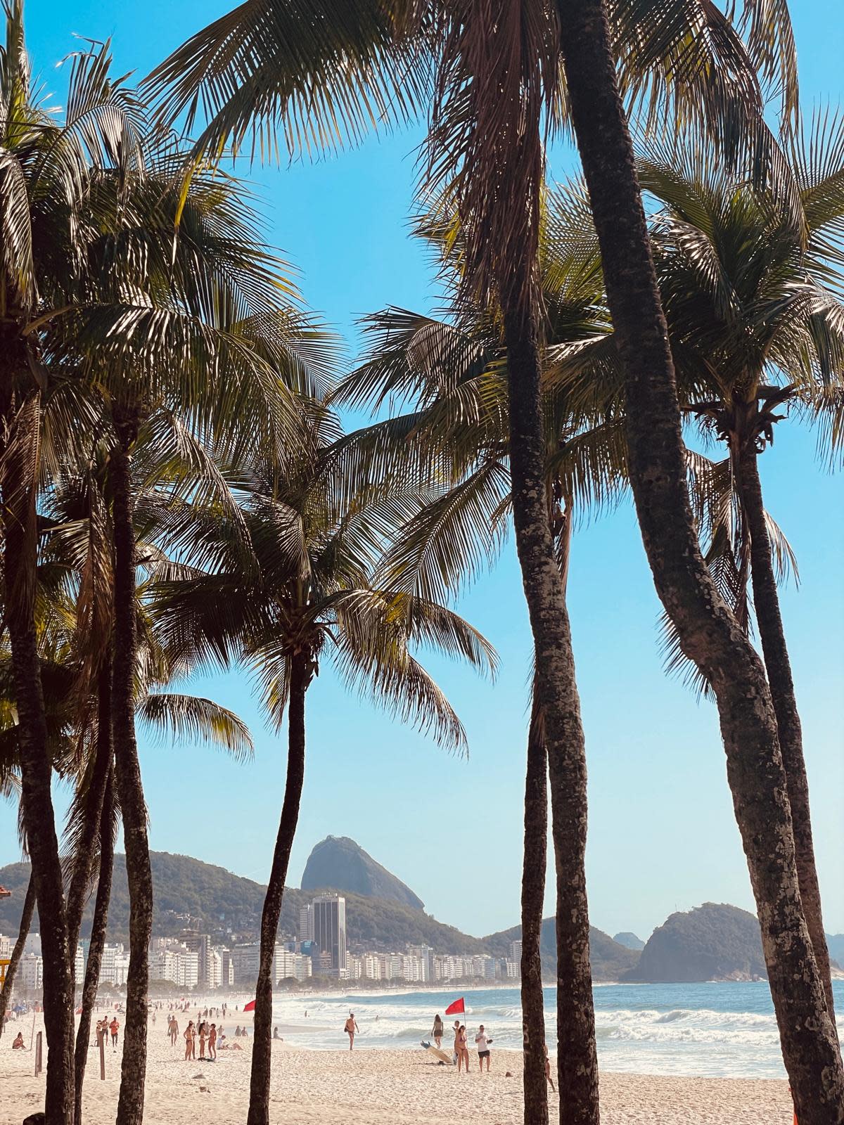 Advisor - The Art of Experiencing Rio de Janeiro