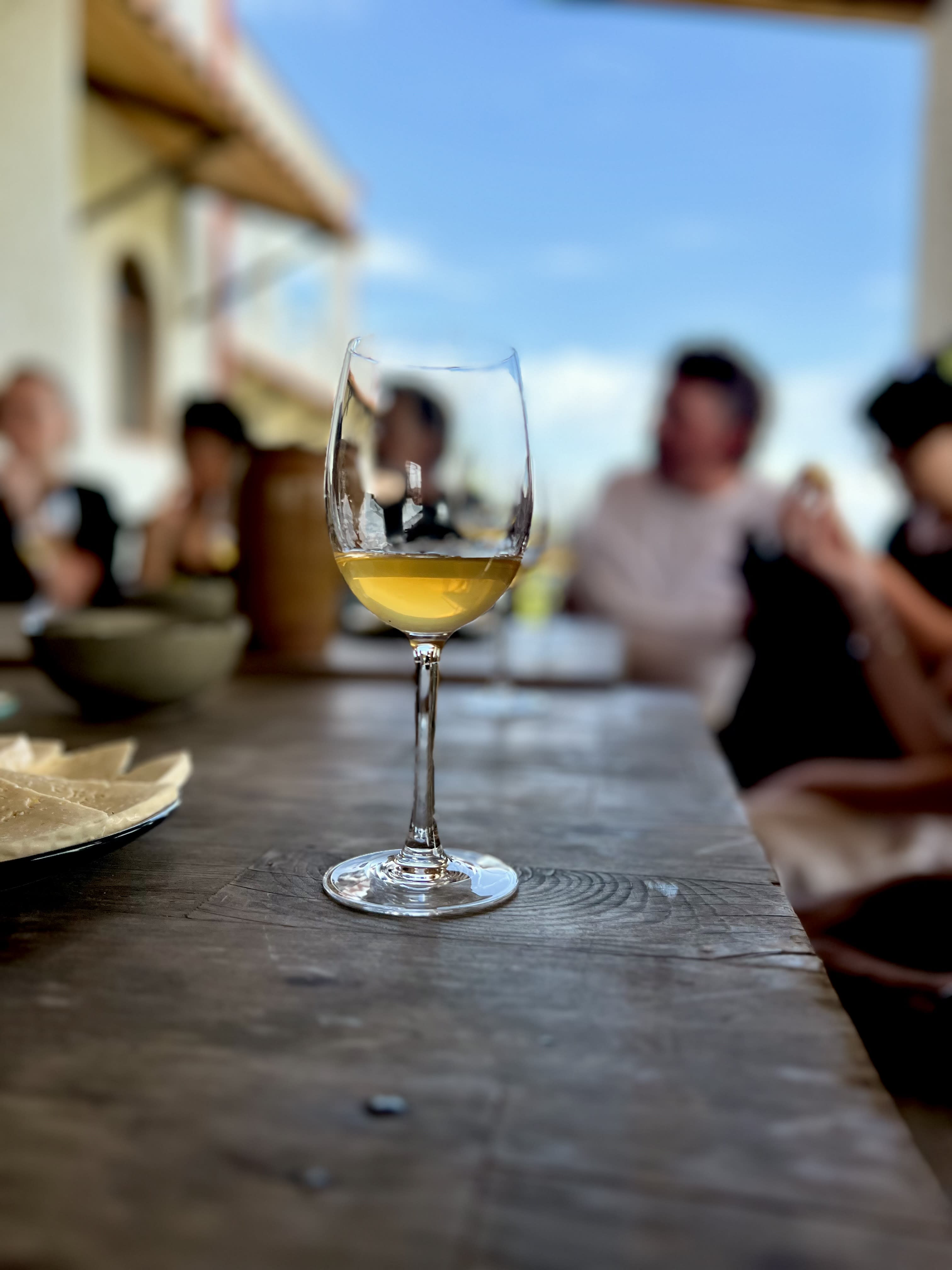 Advisor - Georgia's Wine Country: A Journey Through Ancient Vineyards & Living Traditions