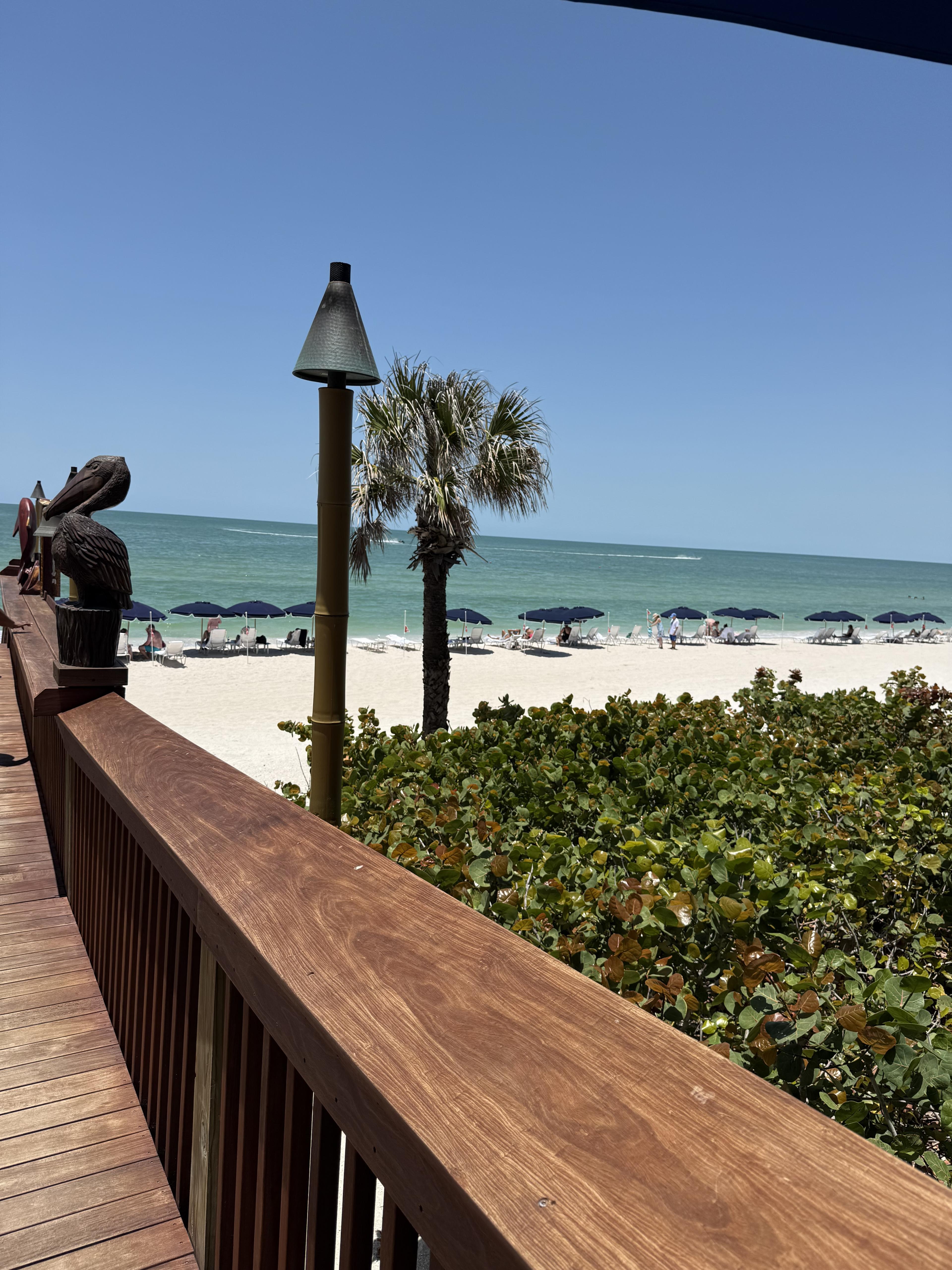 Advisor - Naples, Florida: A Born-and-Raised Perspective
