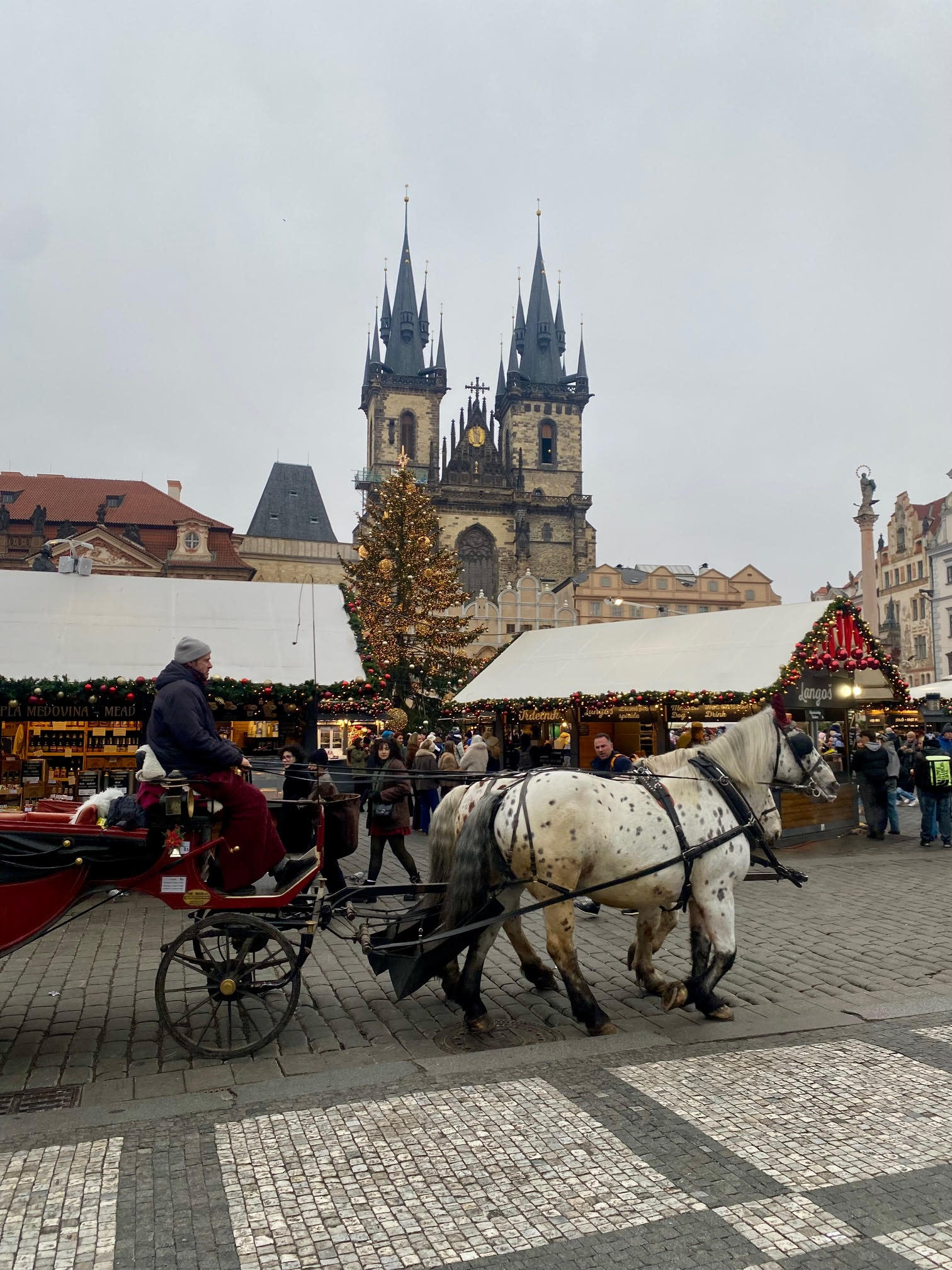 Advisor - Holiday Markets & Old World Charm: A 9-Day Winter Itinerary for Budapest, Salzburg & Prague