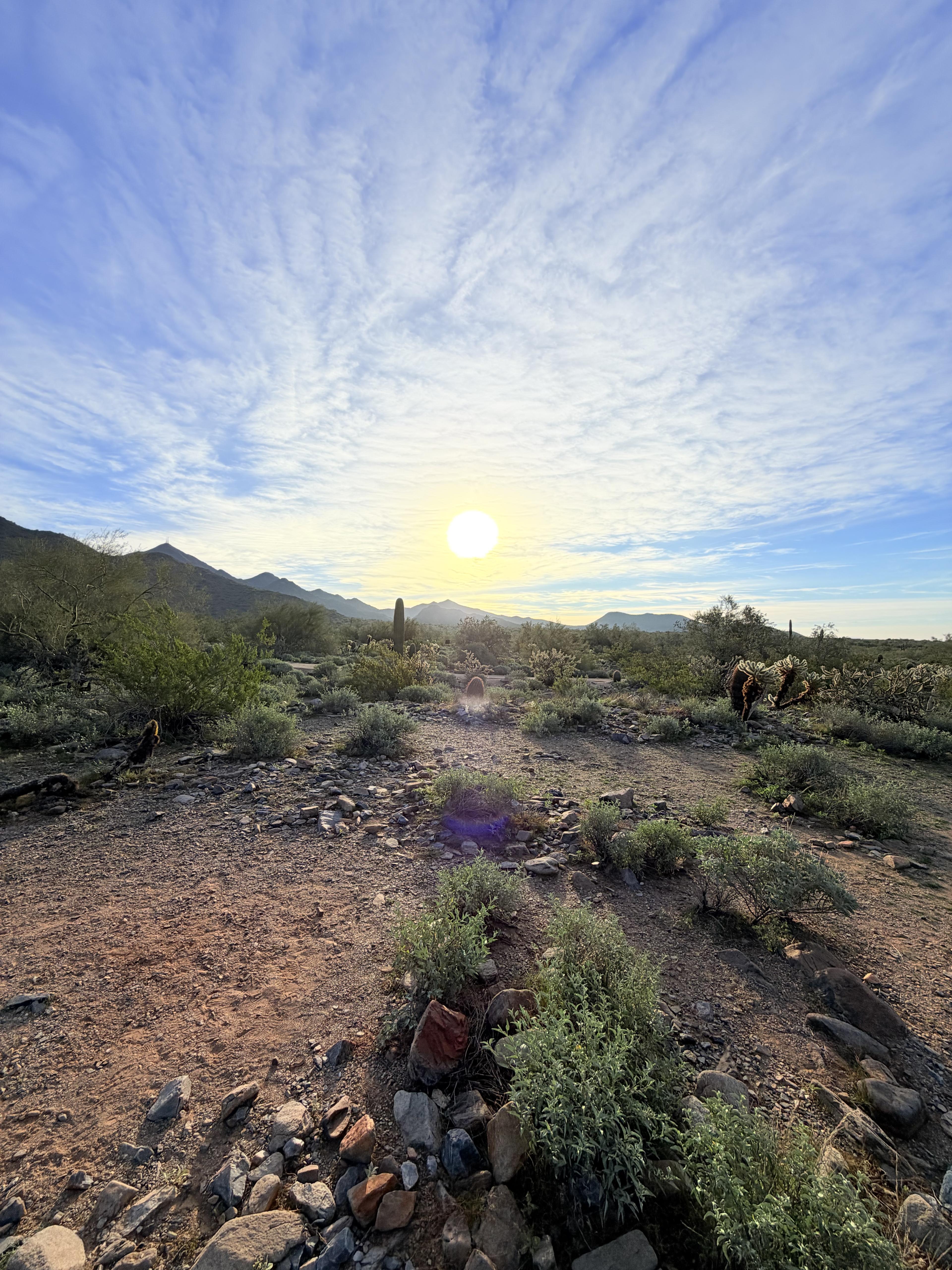 Scottsdale With a Toddler: The “Easy Wins” Guide (Low-Stress, High-Fun, No-Fuss Logistics)