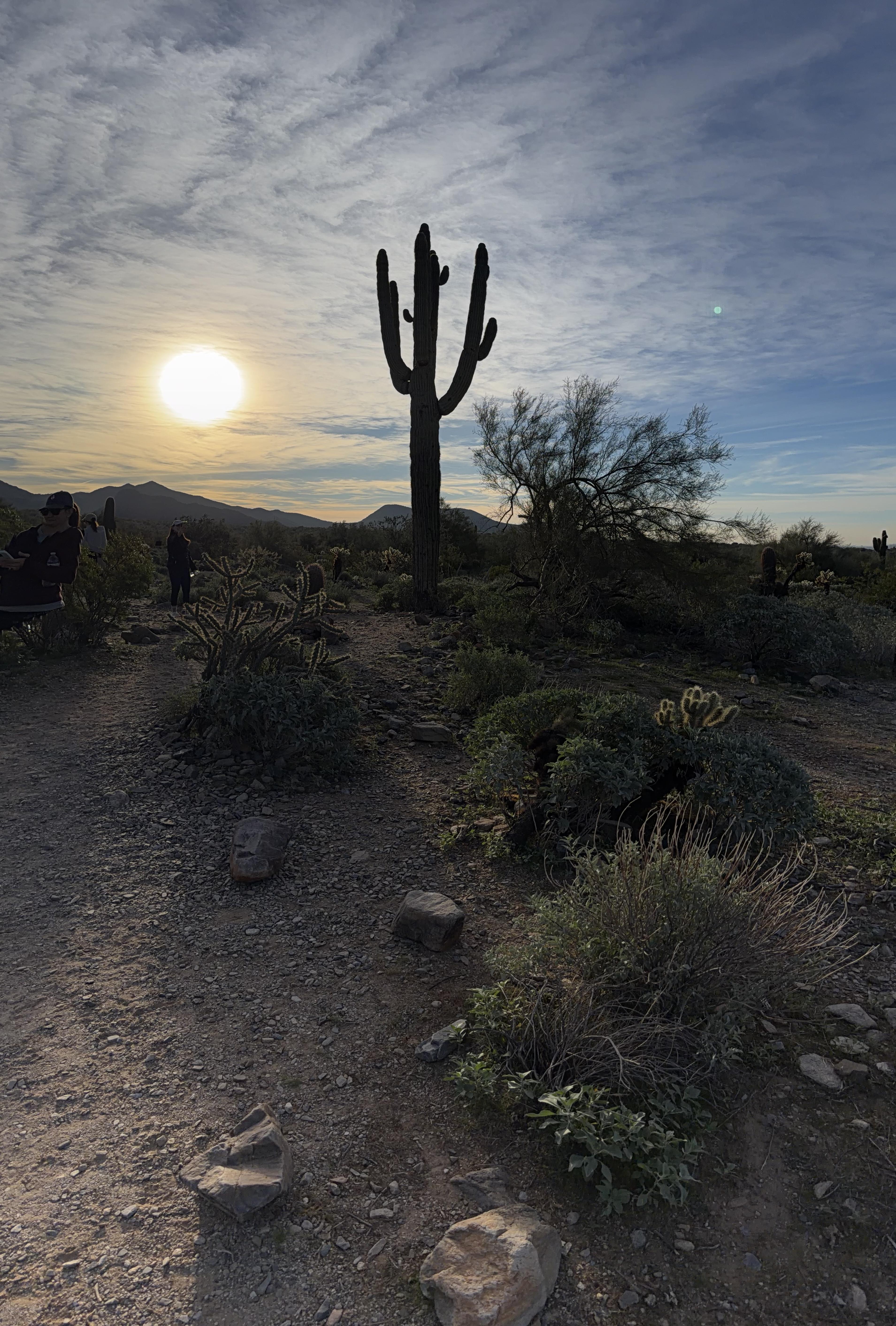 Advisor - The Scottsdale Wellness Edit: Spa Days, Sound Meditation & the Art of Actually Slowing Down