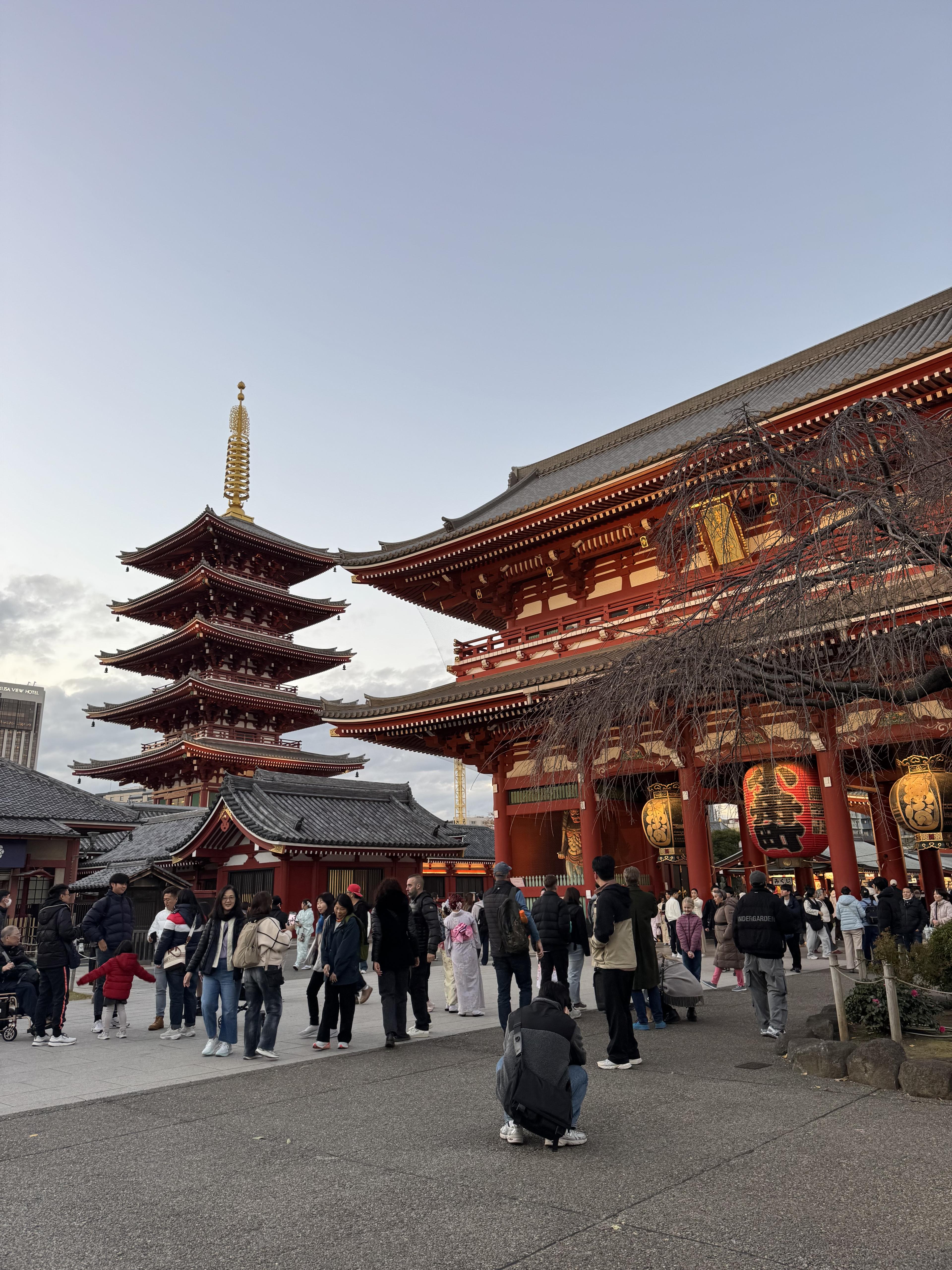 Advisor - A First Timer's Guide to Tokyo