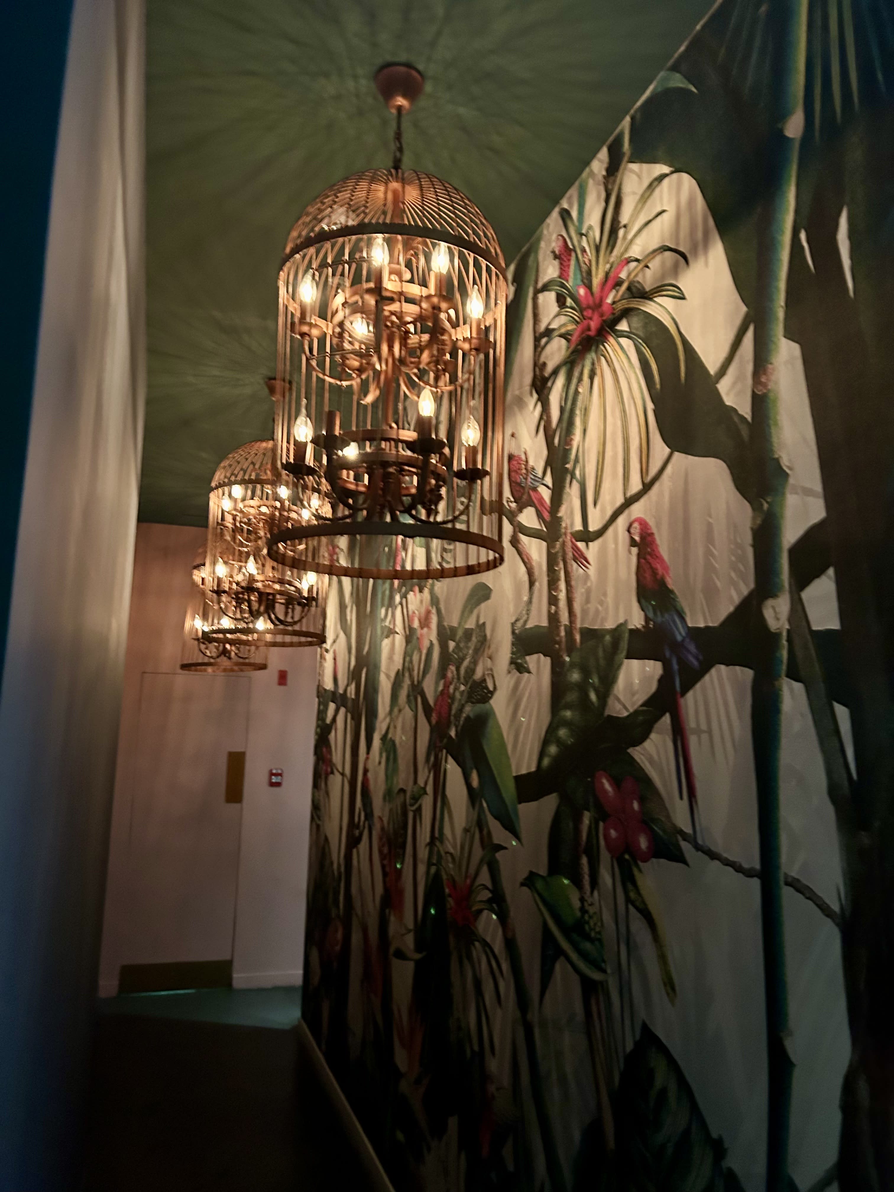 A Local’s Guide to Fine Dining in Panama City