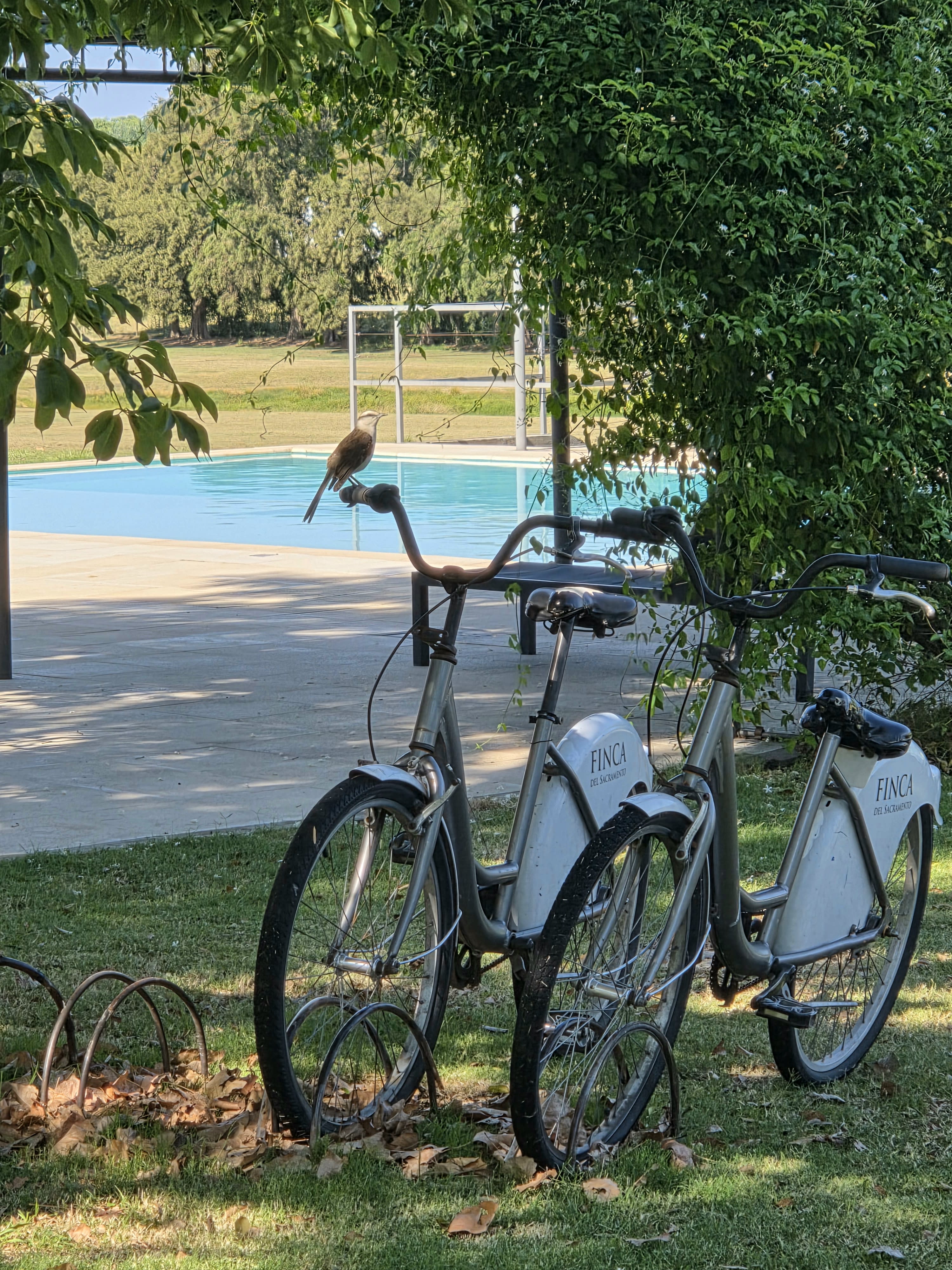Finca del Sacramento: A Special Place to Celebrate Life