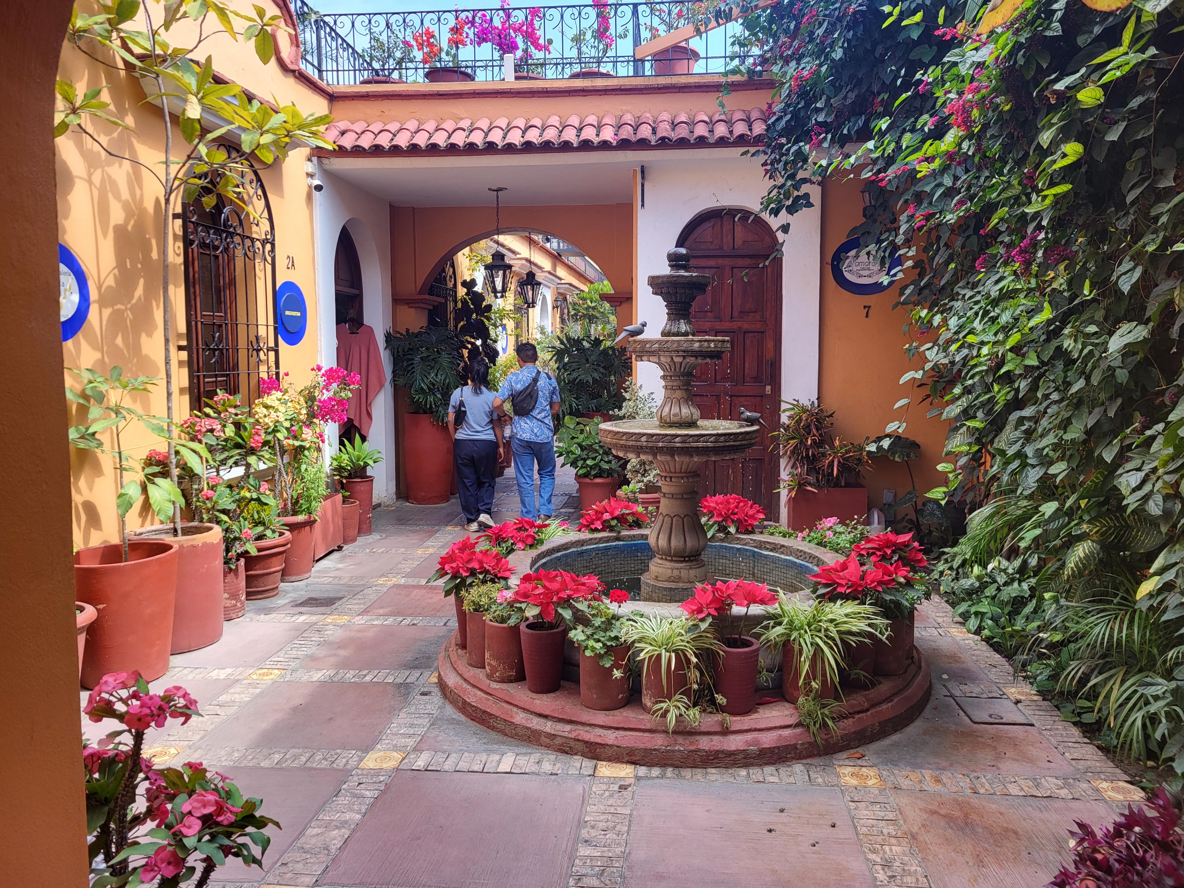 Advisor - 5 Colorful Days in Oaxaca, Mexico