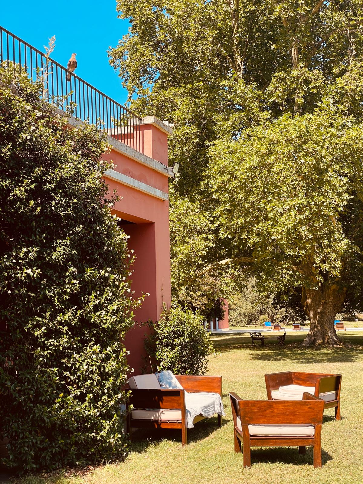 Estancia La Bandada: A Hidden Gem in the Argentine Pampas