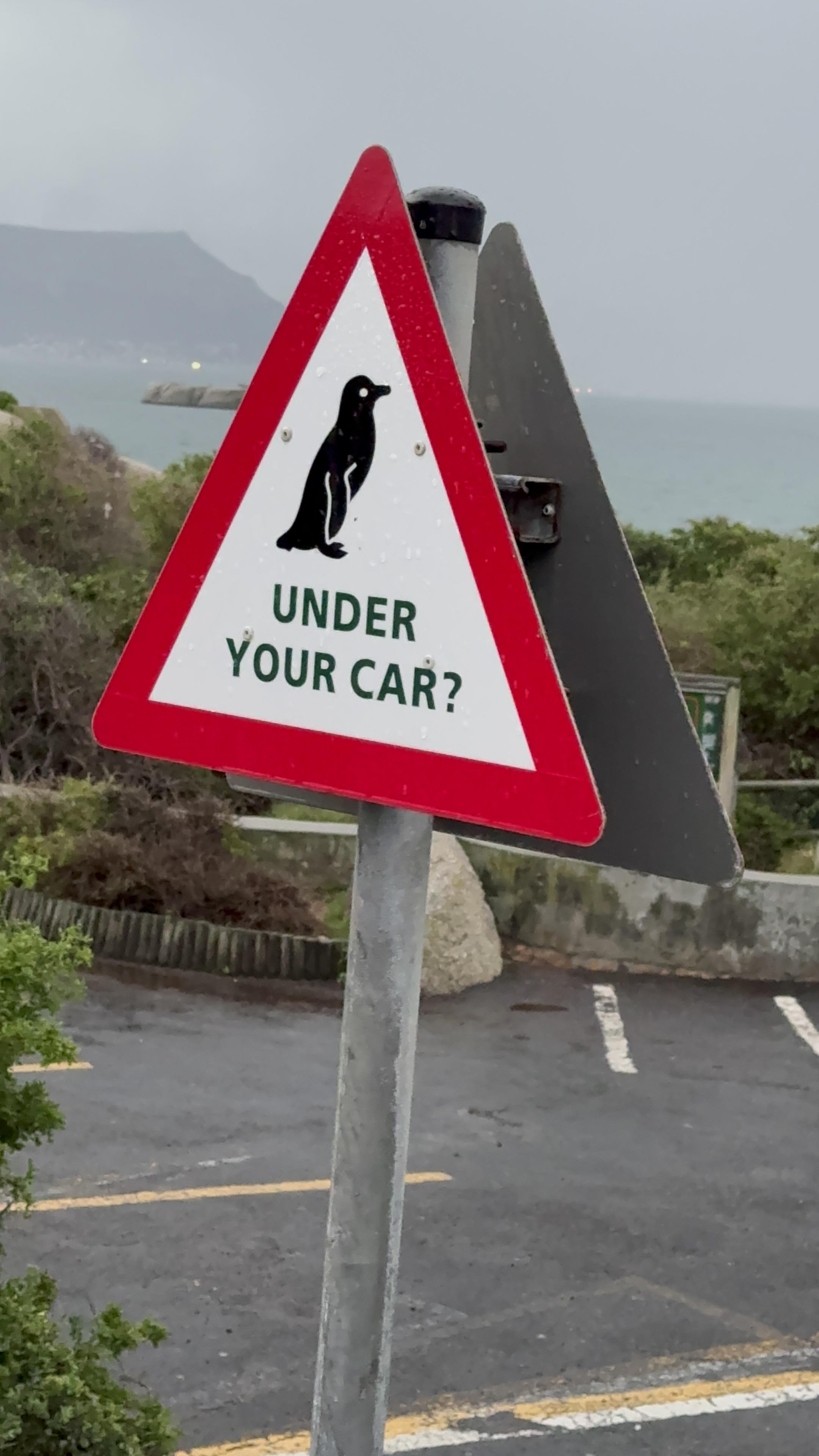 Cape Town: Boulders Beach Penguins & the Breathtaking Cape of Good Hope Coastline