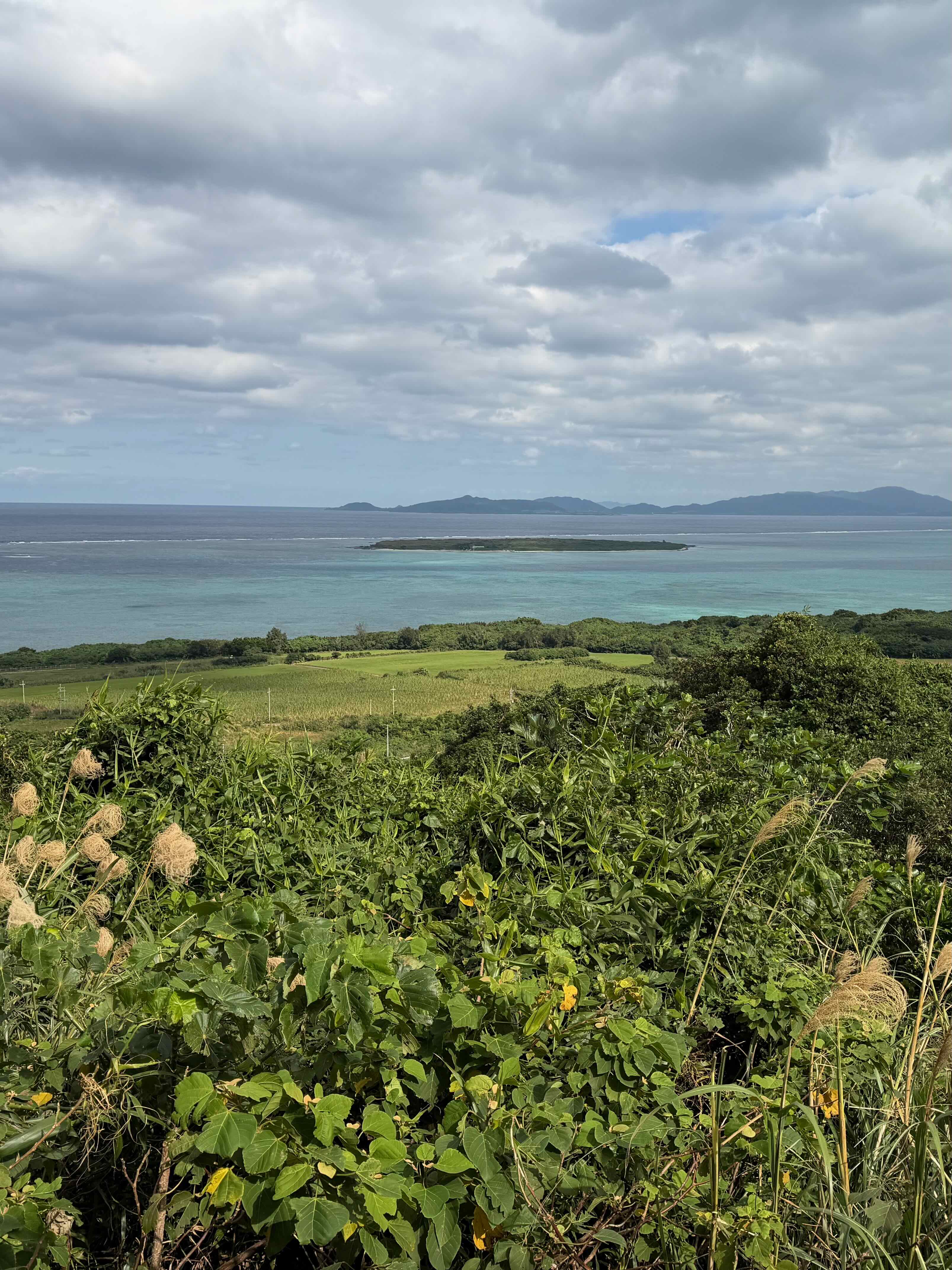 Advisor - Kohama Island: On Island Time in Okinawa, Japan