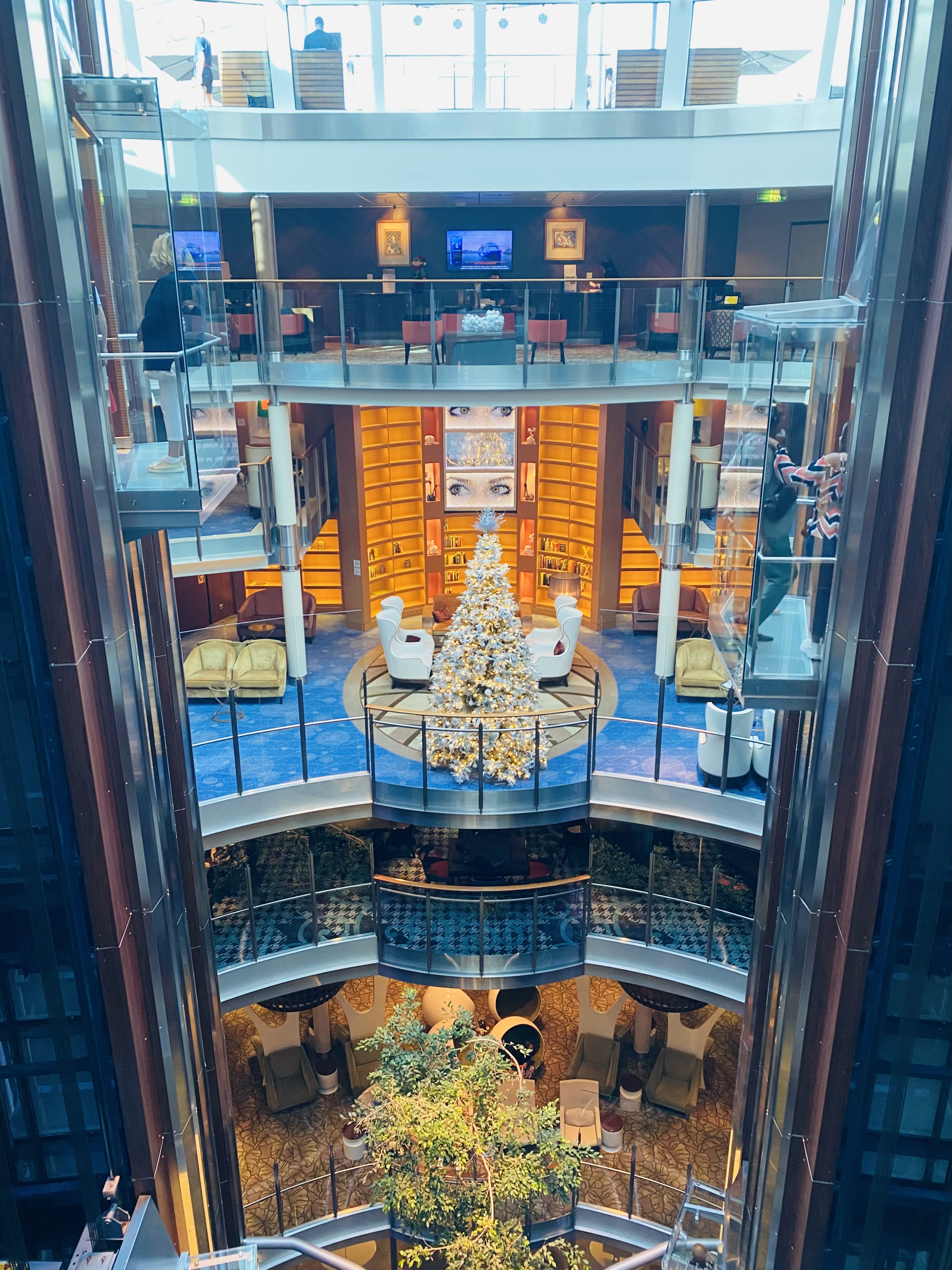 A Family Reunion Cruise to Remember