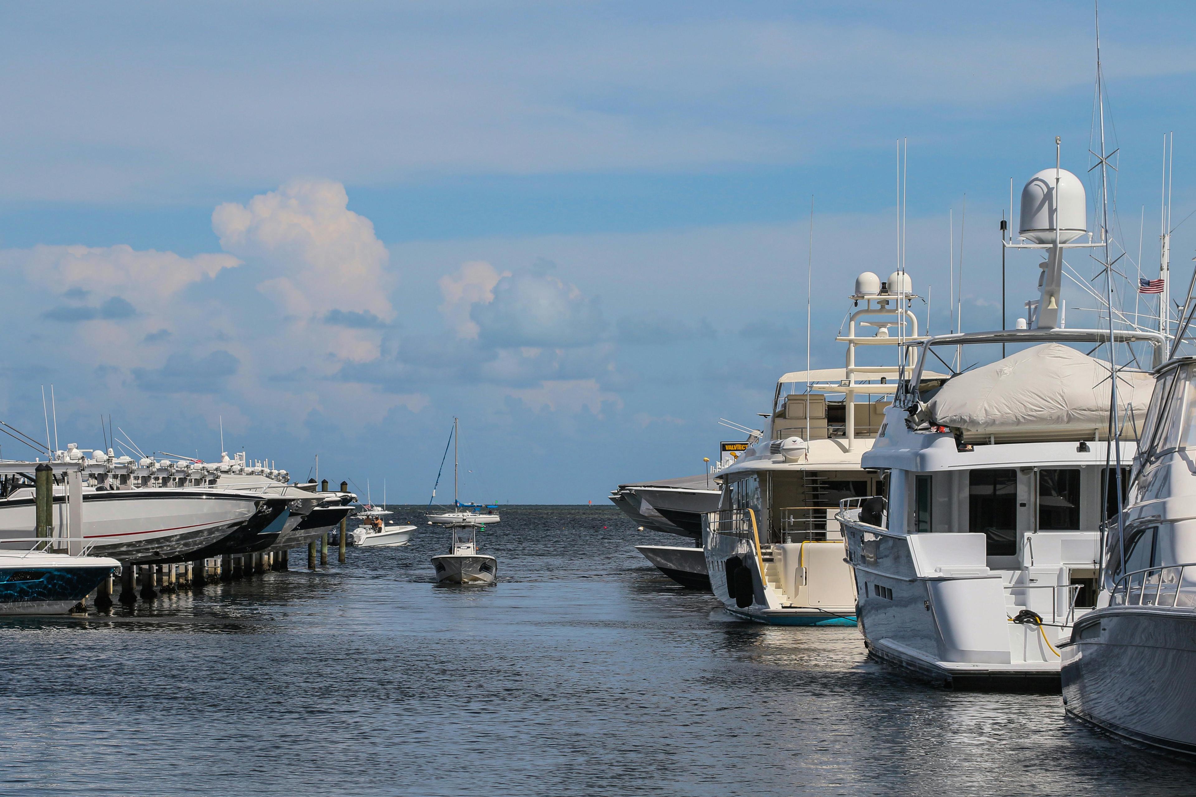 Advisor - The 2026 Miami Boat Show: Celiac Guide