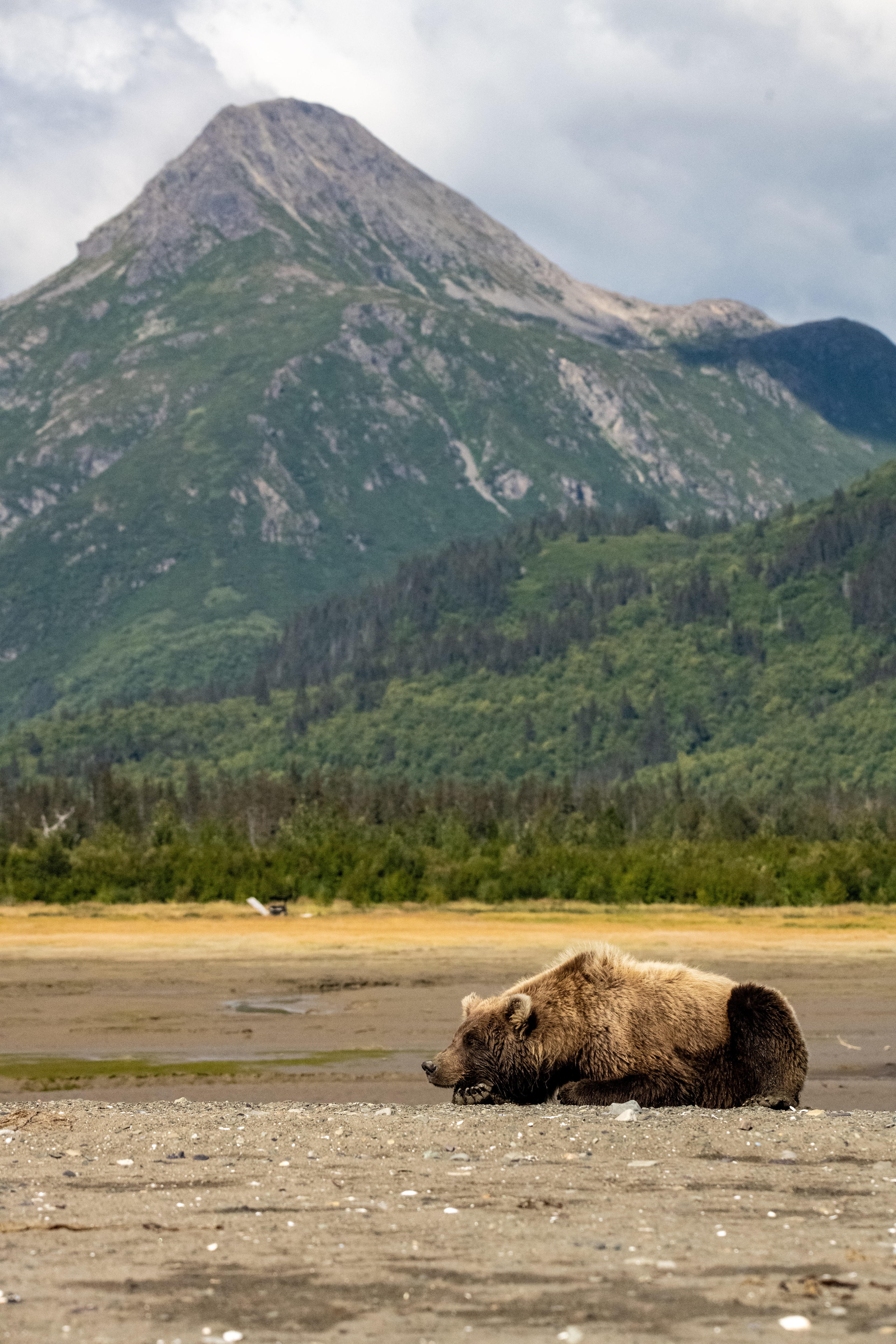Advisor - A Long Weekend in Alaska