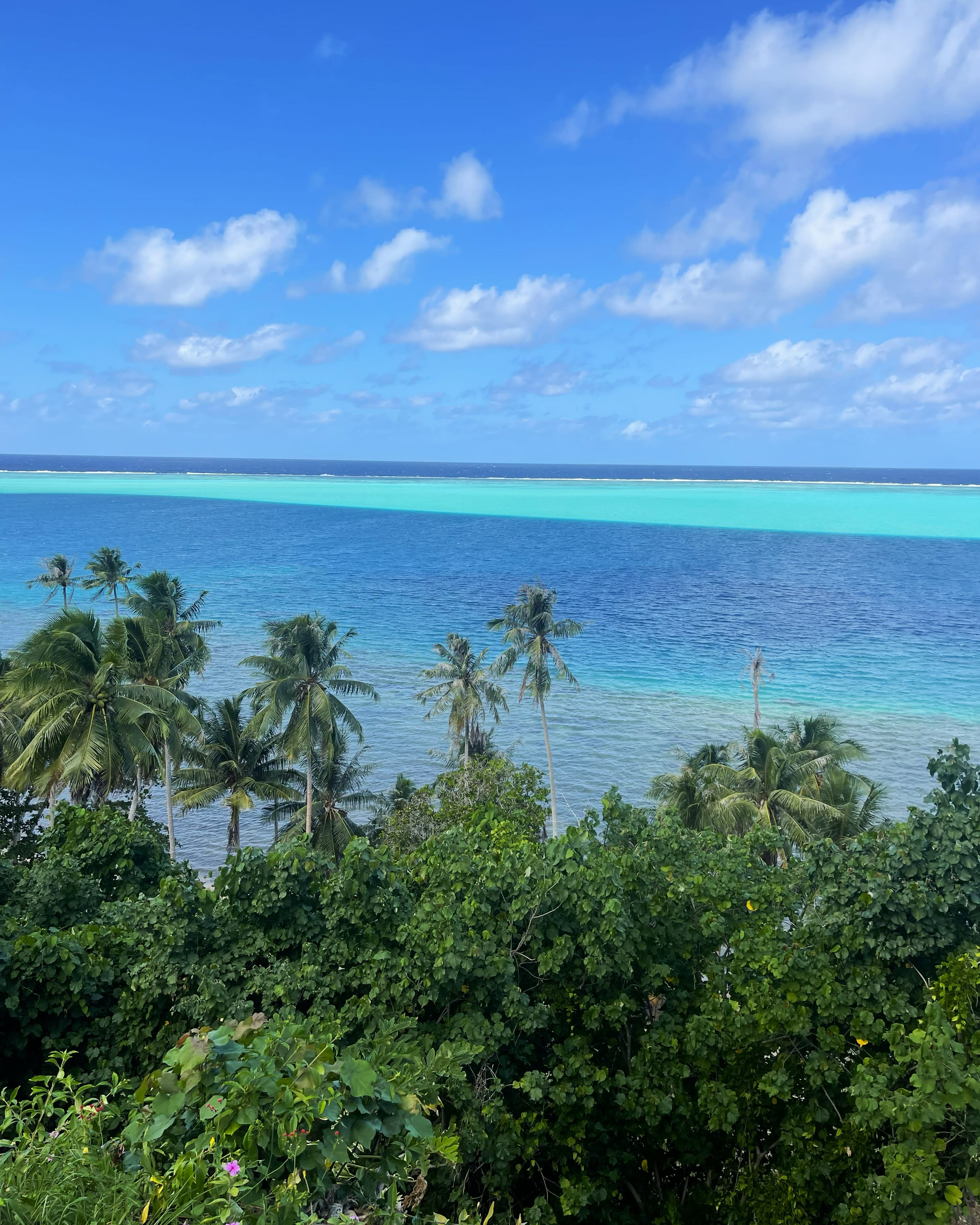 Advisor - Huahine, French Polynesia: The Cultural Heart of the Leeward Islands