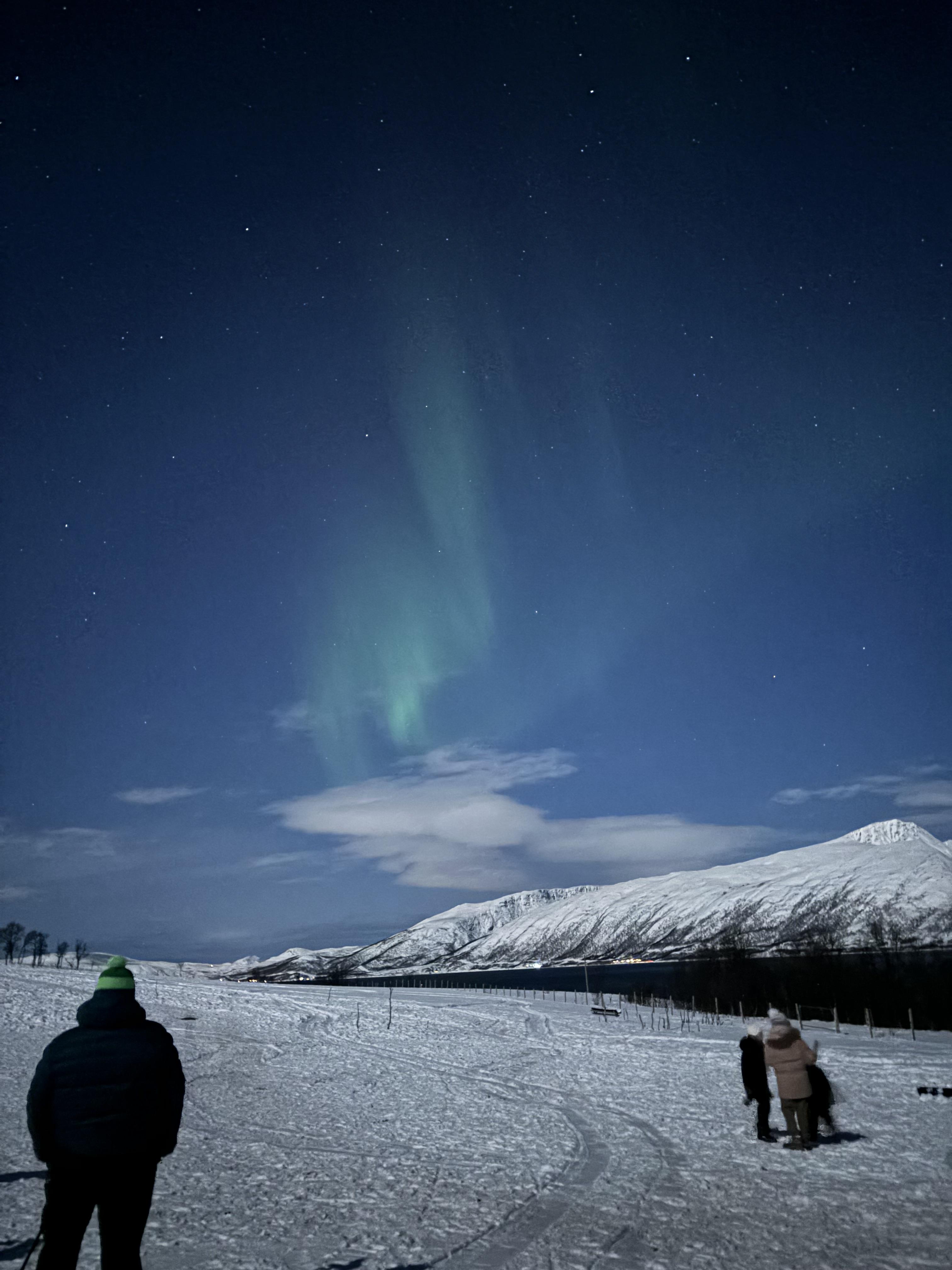 Advisor - Tromsø, Norway: Where to Stay, Eat & See the Northern Lights