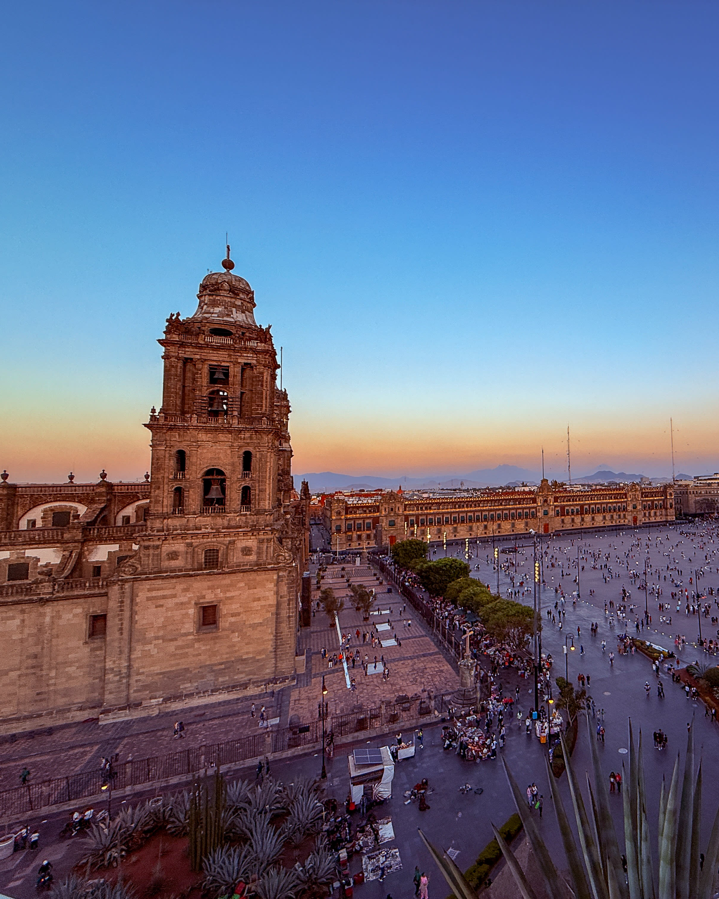 CDMX: Dining, Design, and Neighborhood Flavors