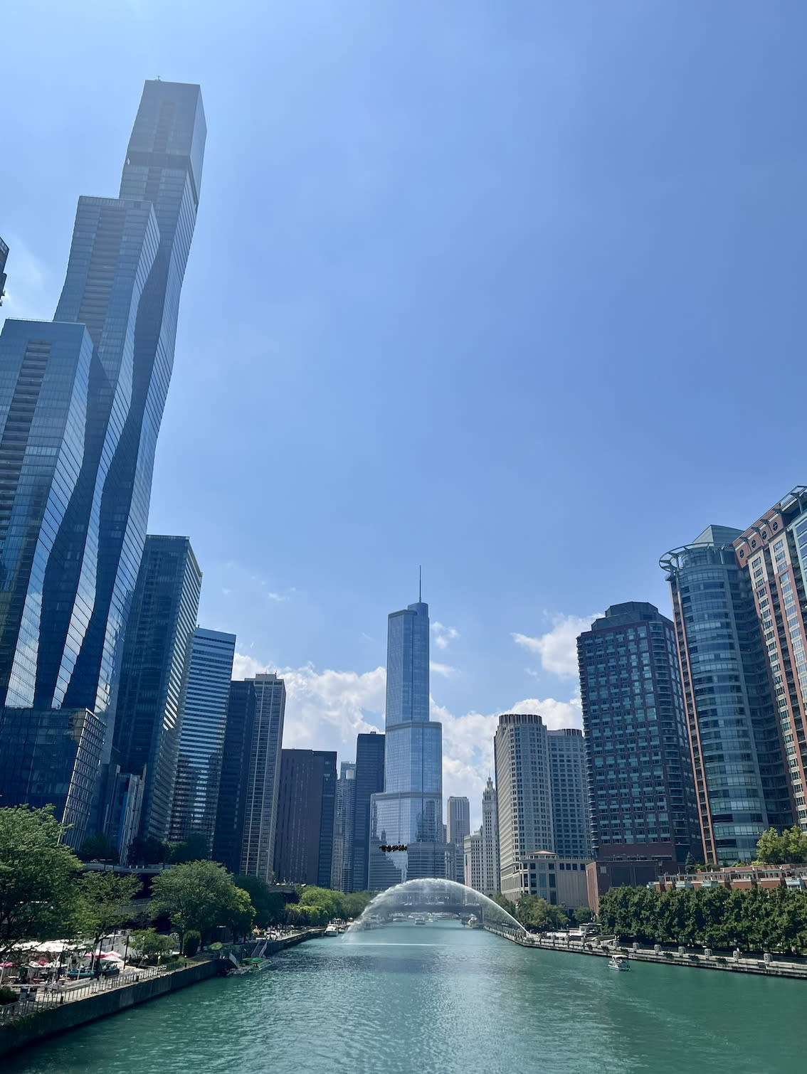 Advisor - Chicago 101: A Detailed Beginner’s Guide to the Windy City