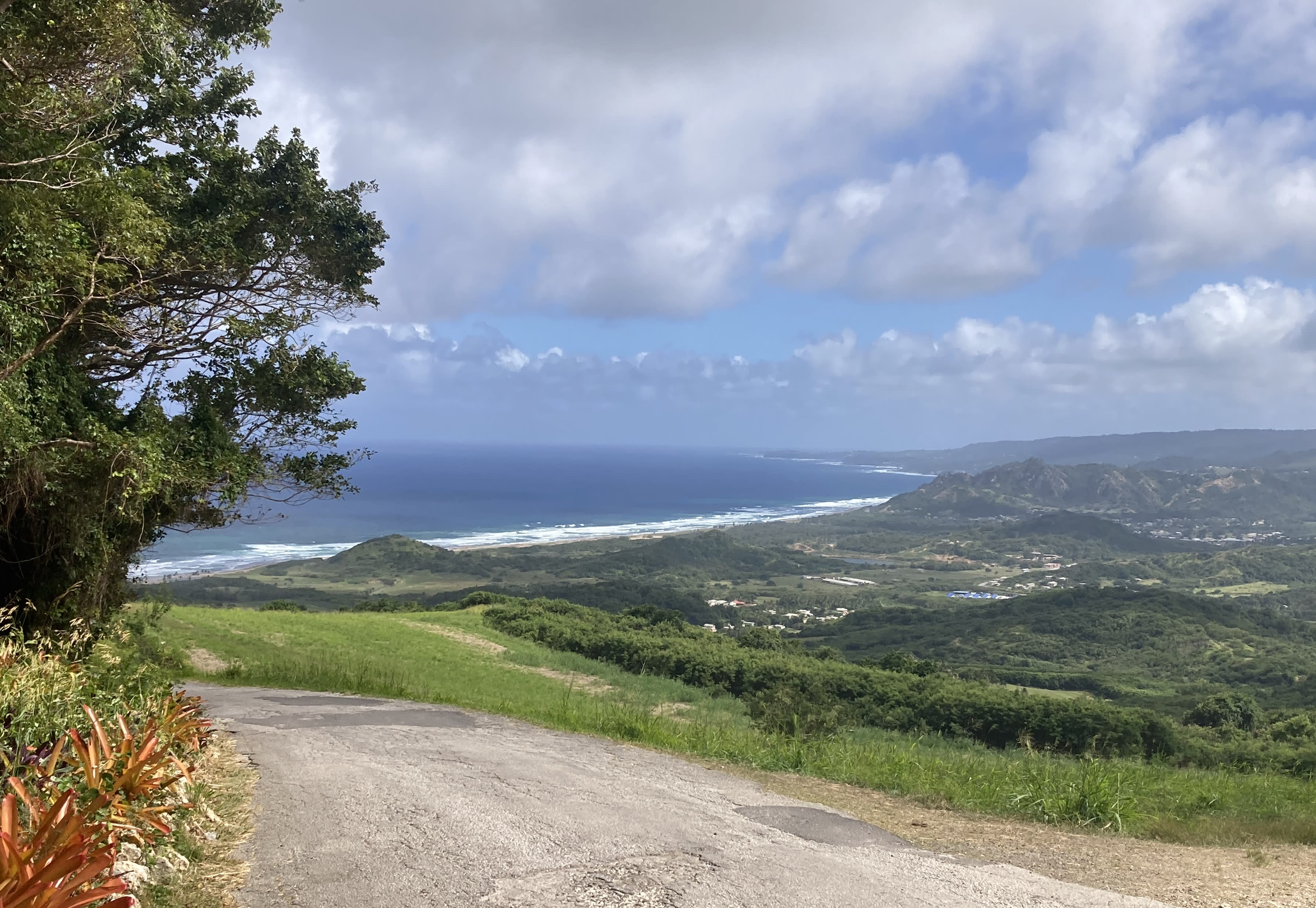 Advisor - Your Caribbean Escape to Barbados