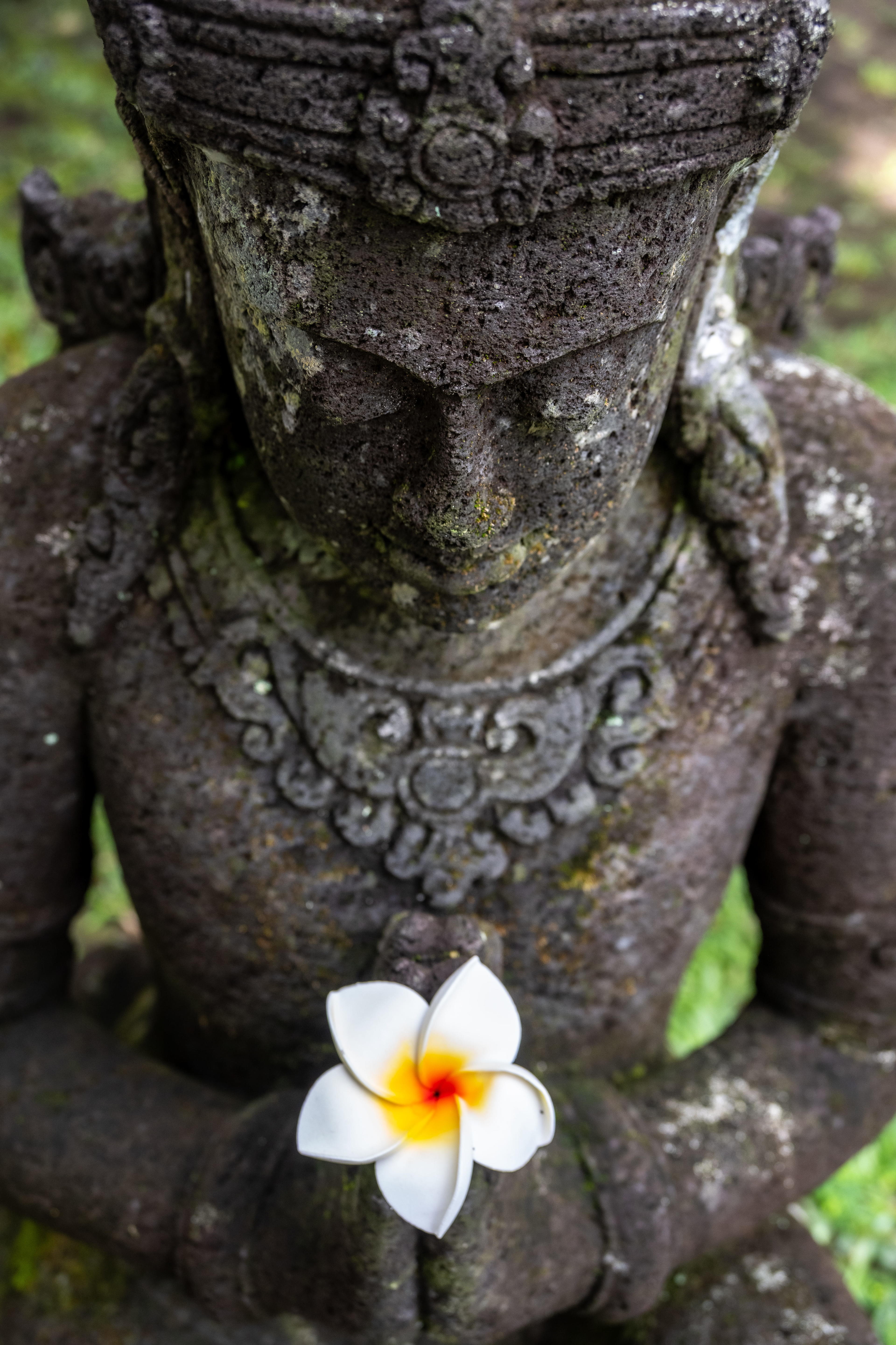 Advisor - Java to Bali: Temples, Traditions & Island Time in Indonesia
