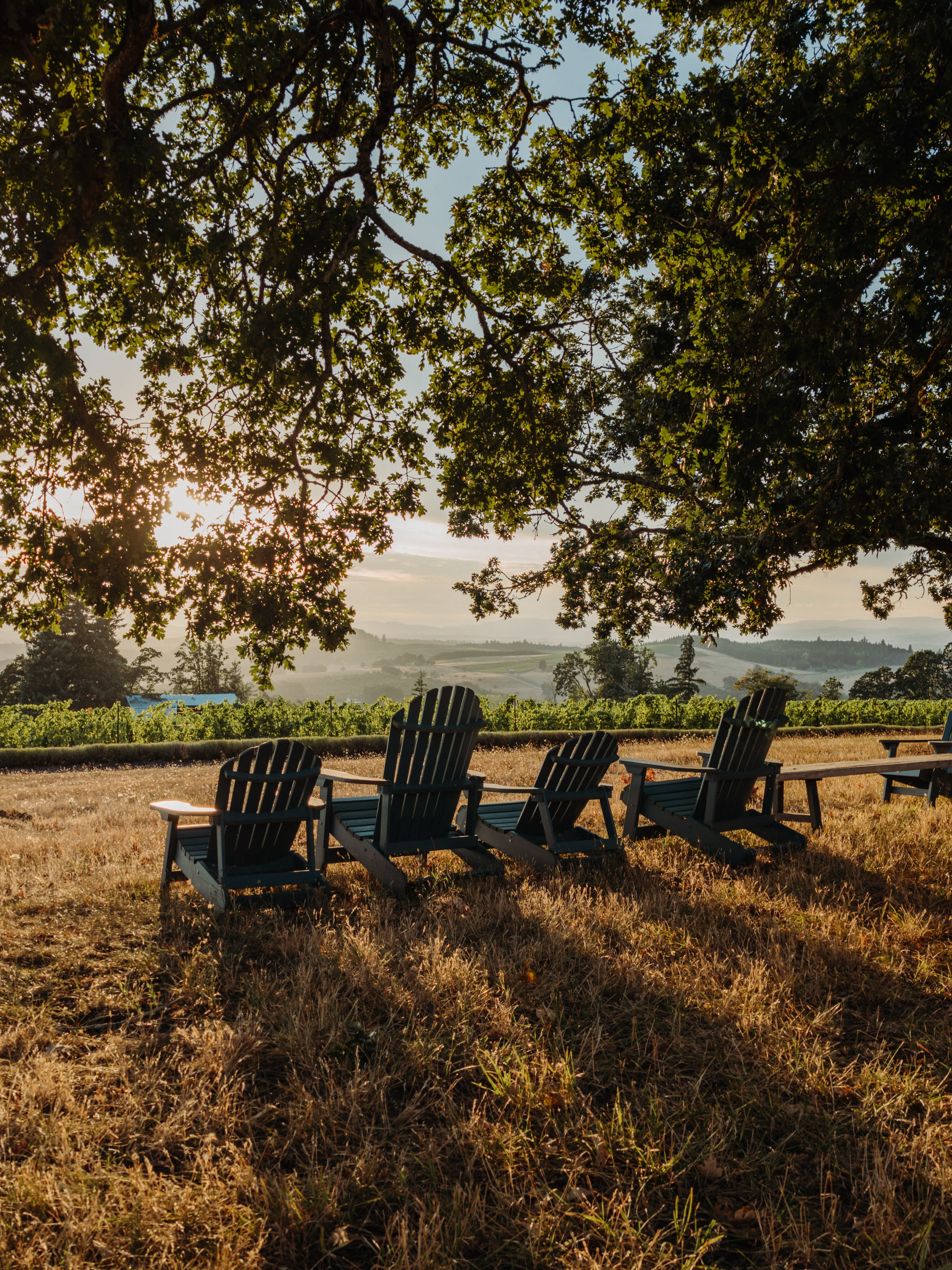 Advisor - Food, Wine & Laid-Back Luxury: A Willamette Valley Guide