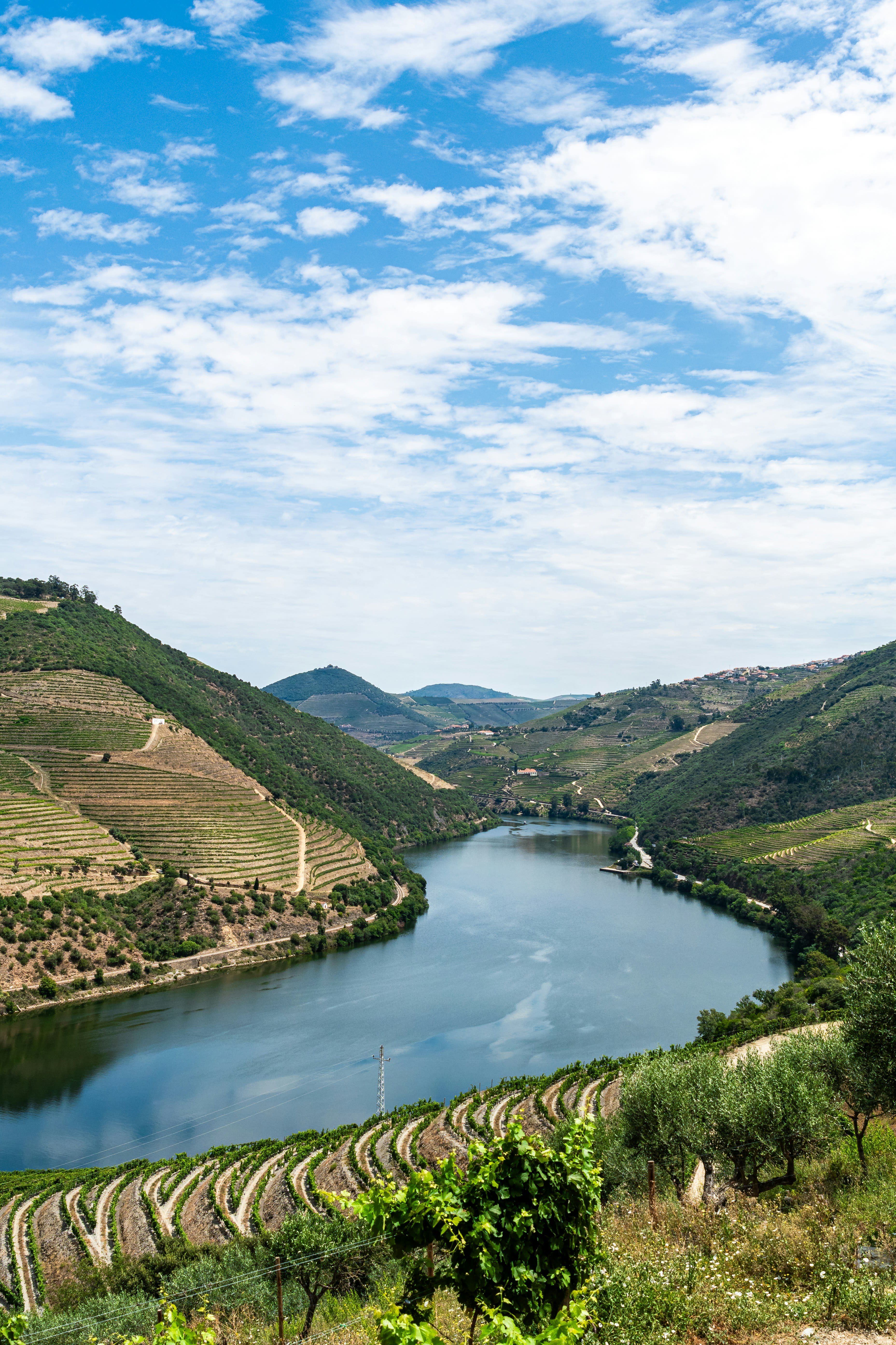 Advisor - Beyond the Porto Day Trip: A 4-Day Intentional Journey Through the Douro Valley