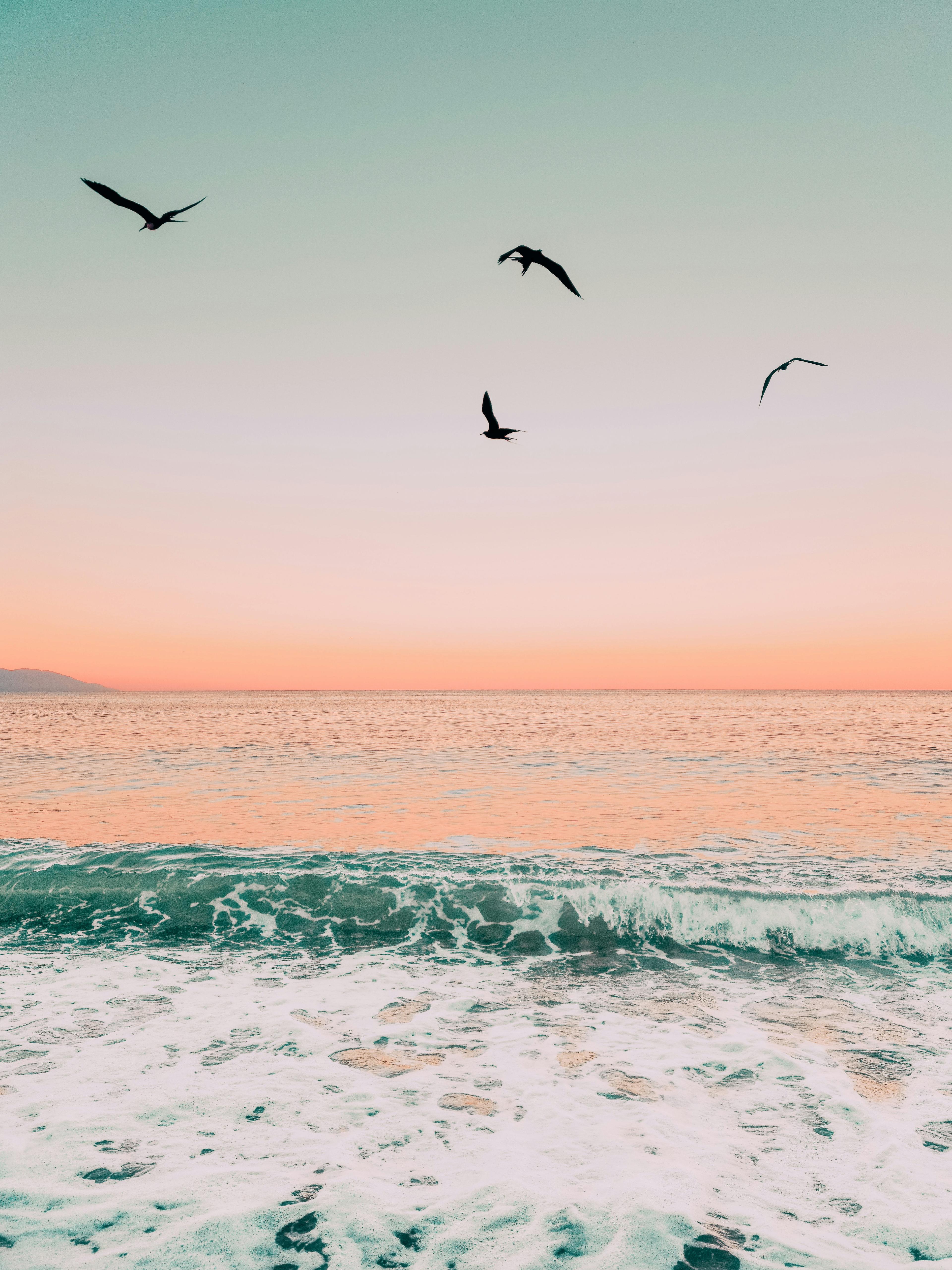 Advisor - The Essential Luxury Guide: Riviera Nayarit, Punta Mita & Mandarina