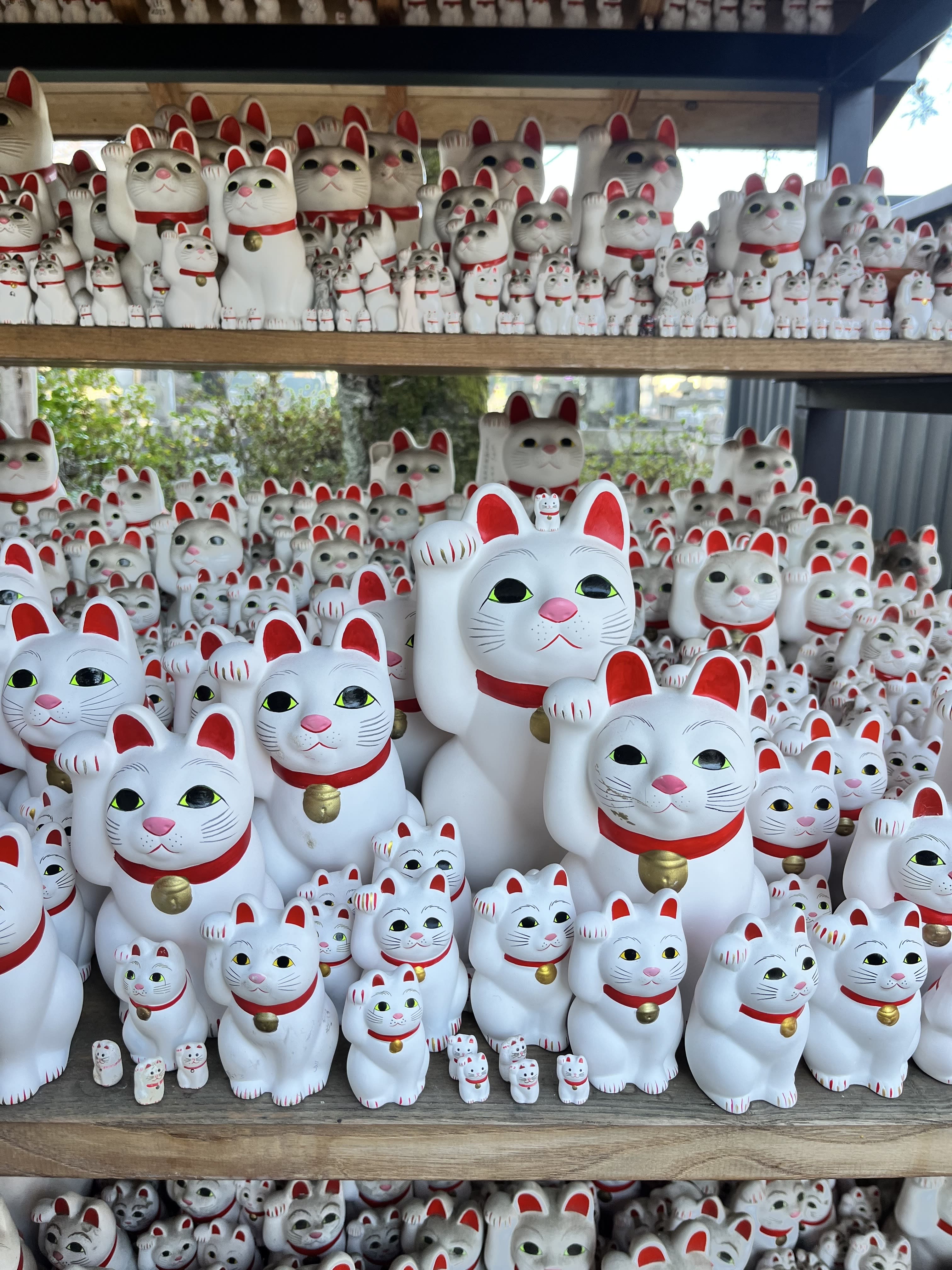 Advisor - Tokyo: Endless Adventure in Japan's Capital City