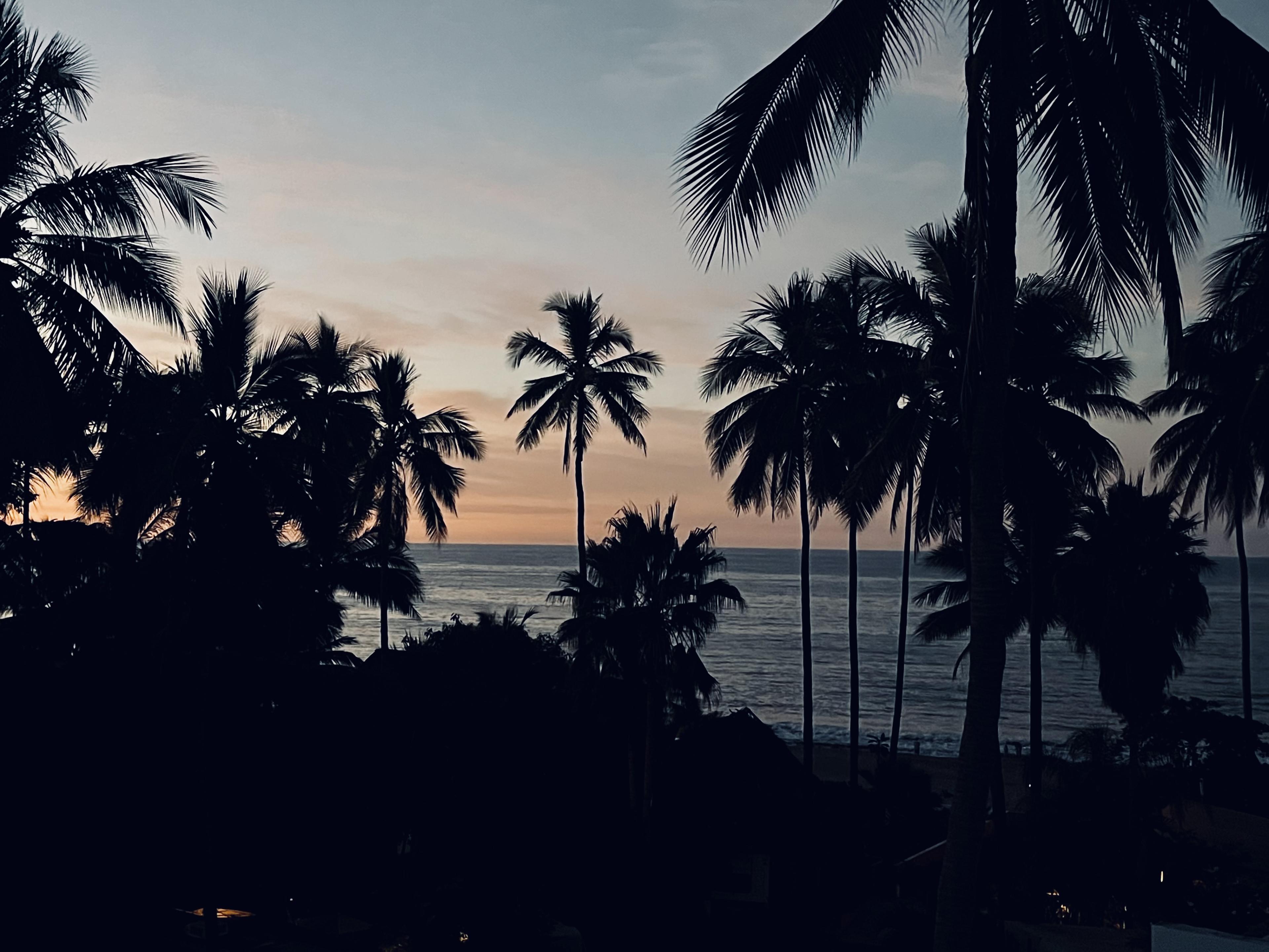 Advisor - Colorful Streets & Coastal Retreats: A Guide to Sayulita and San Pancho