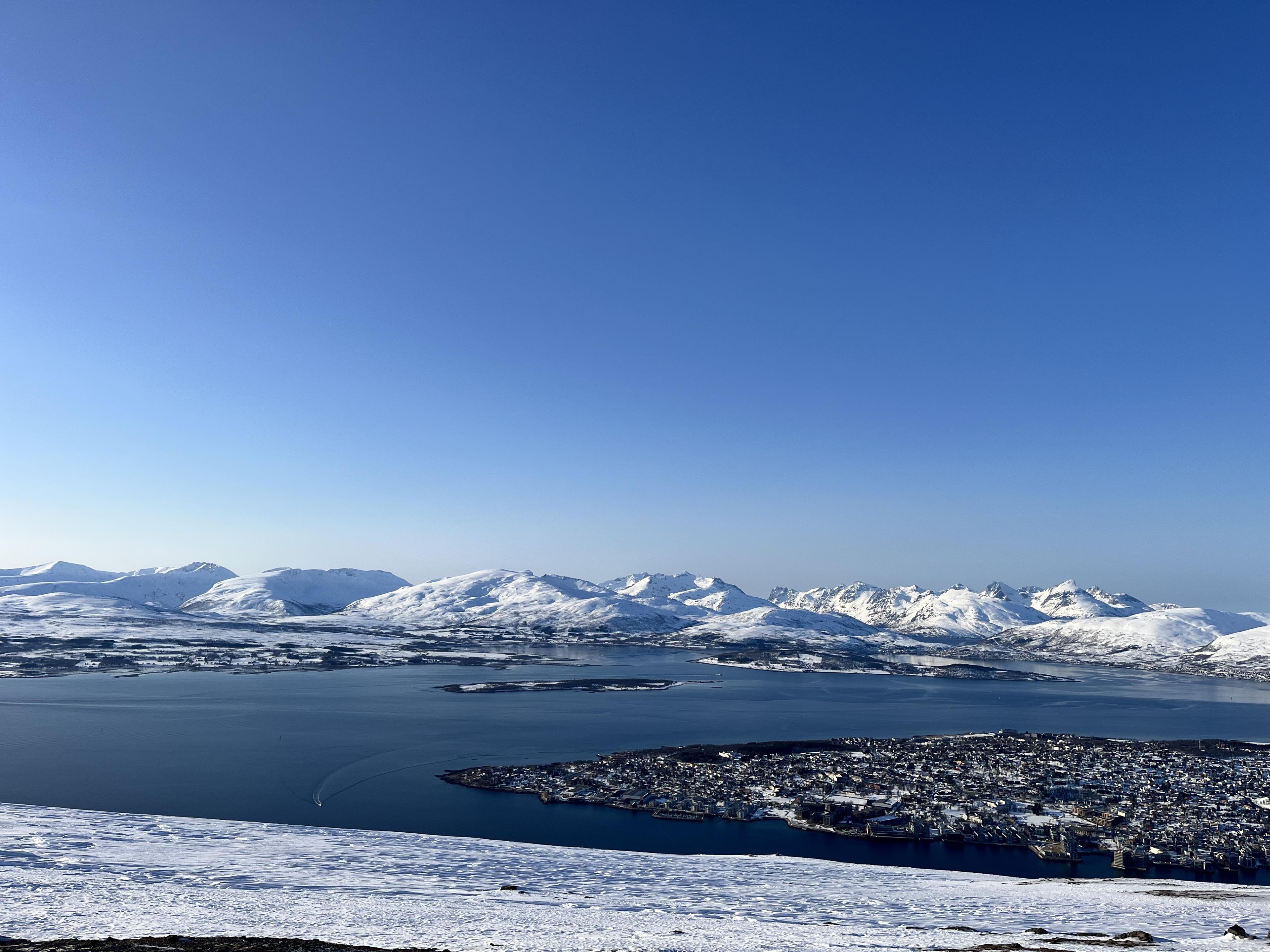 Advisor - See Tromsø, Norway