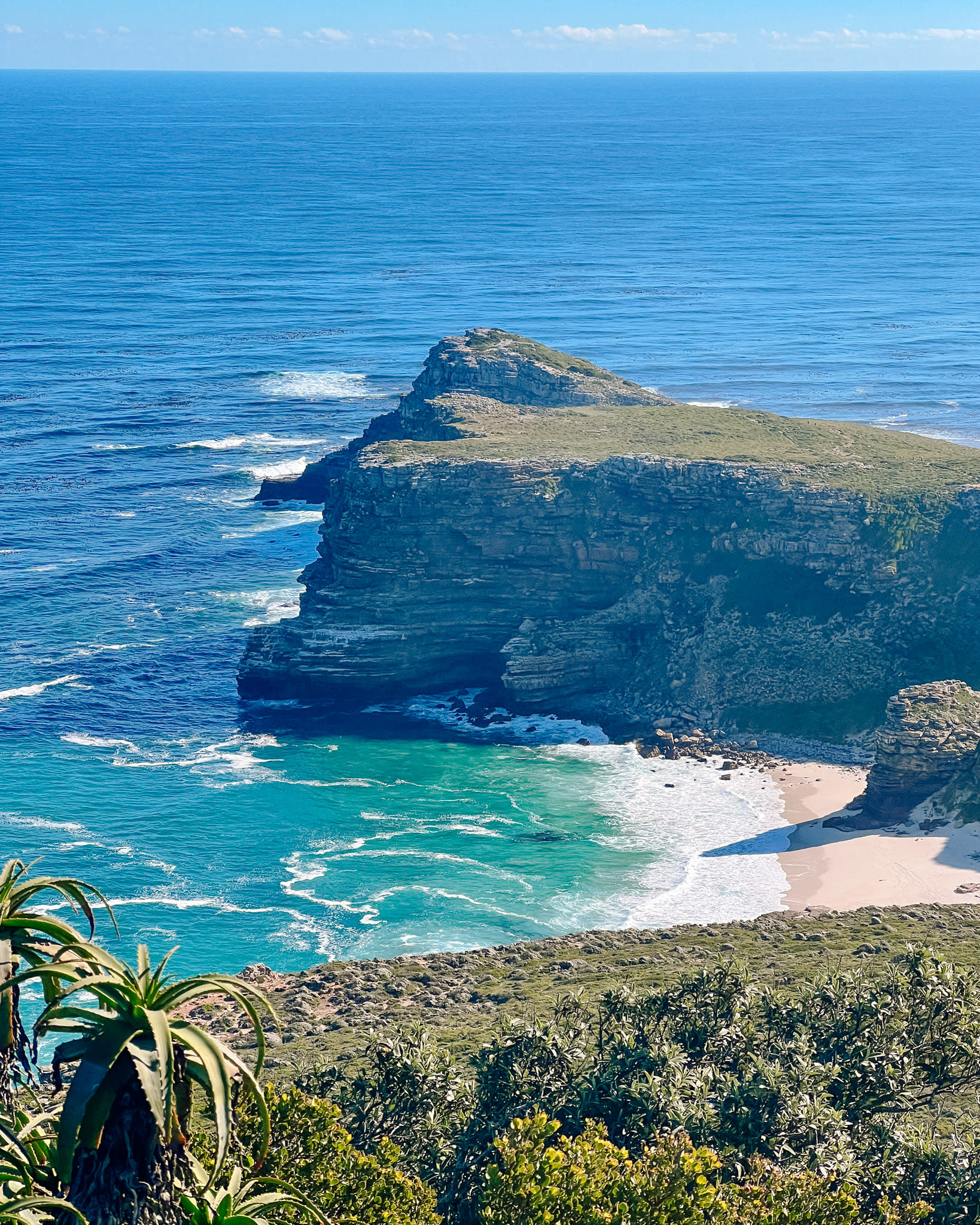 Wildlife-Focused Activities in Cape Town