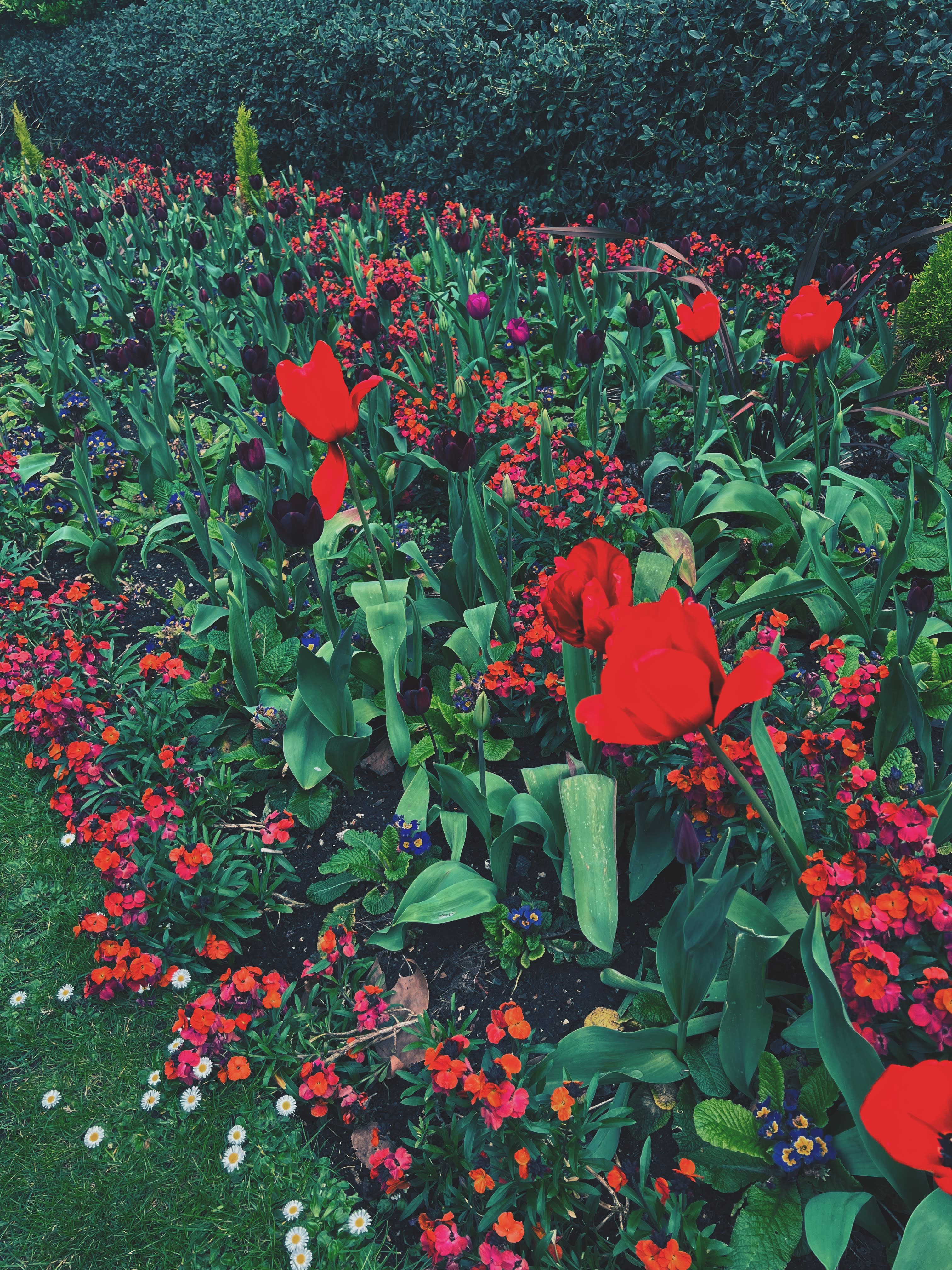 Advisor - London in the Spring