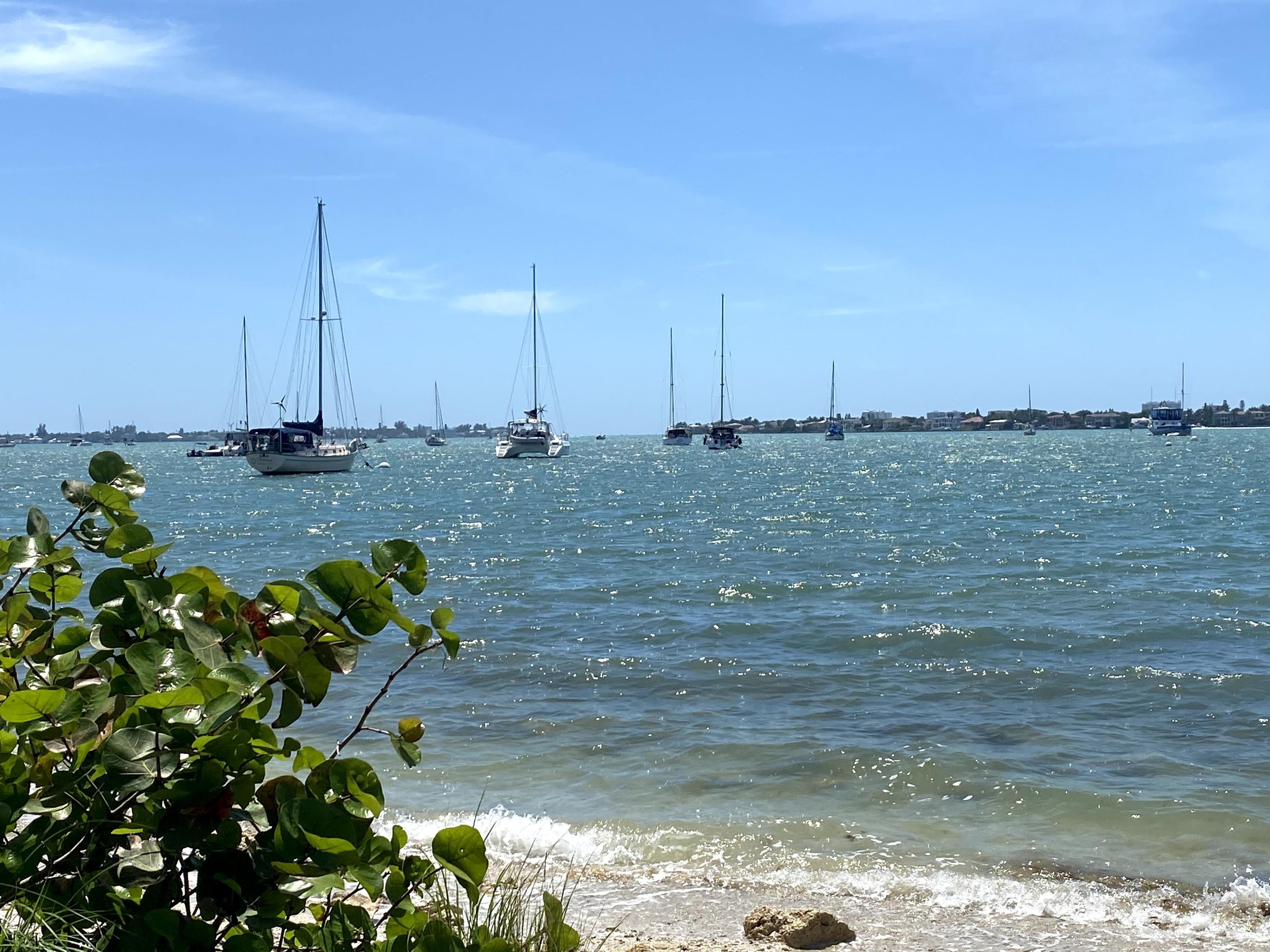 Advisor - Sarasota Like a Local