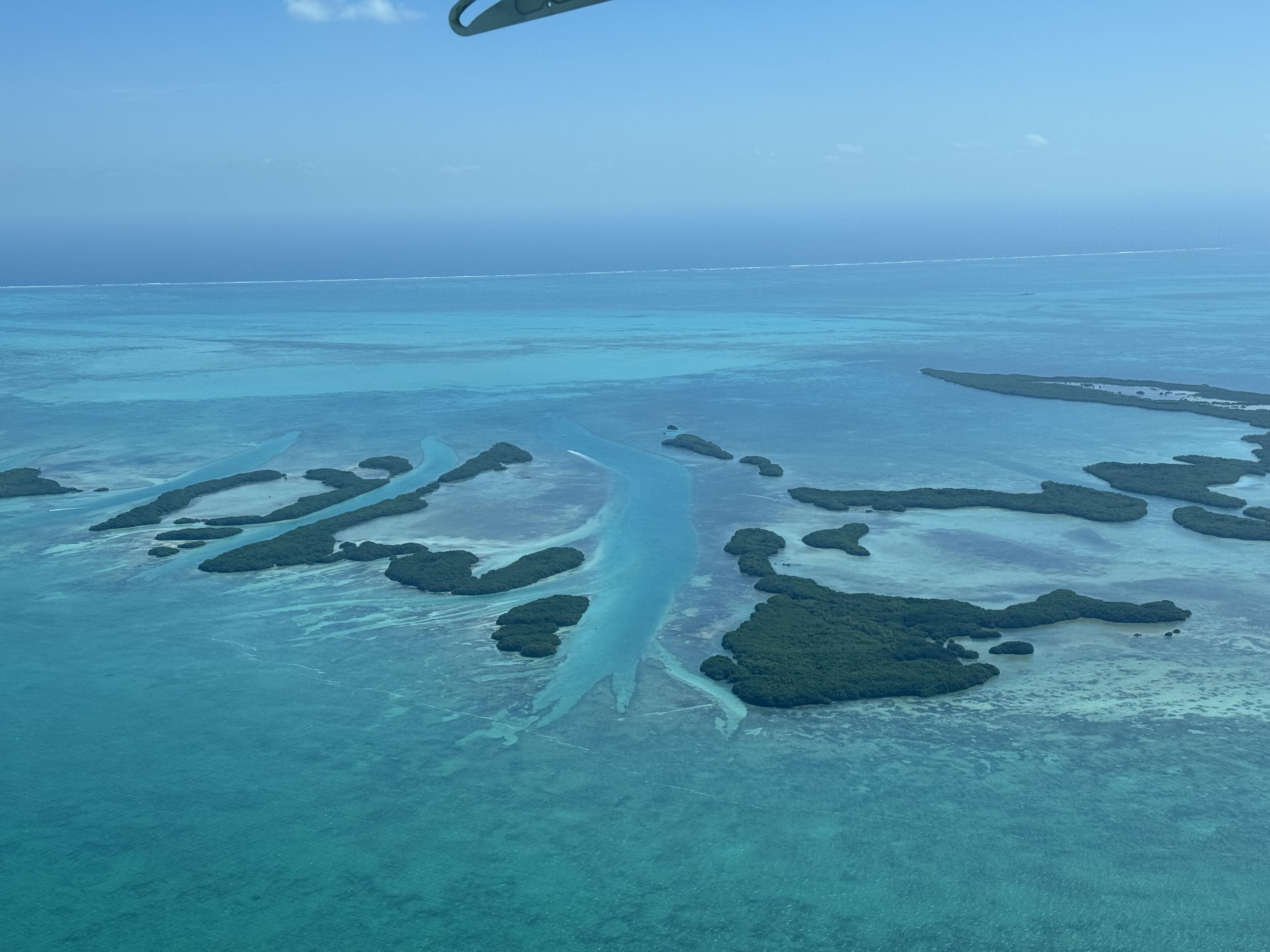 Advisor - Ambergris Caye: Island Life on the Belize Barrier Reef