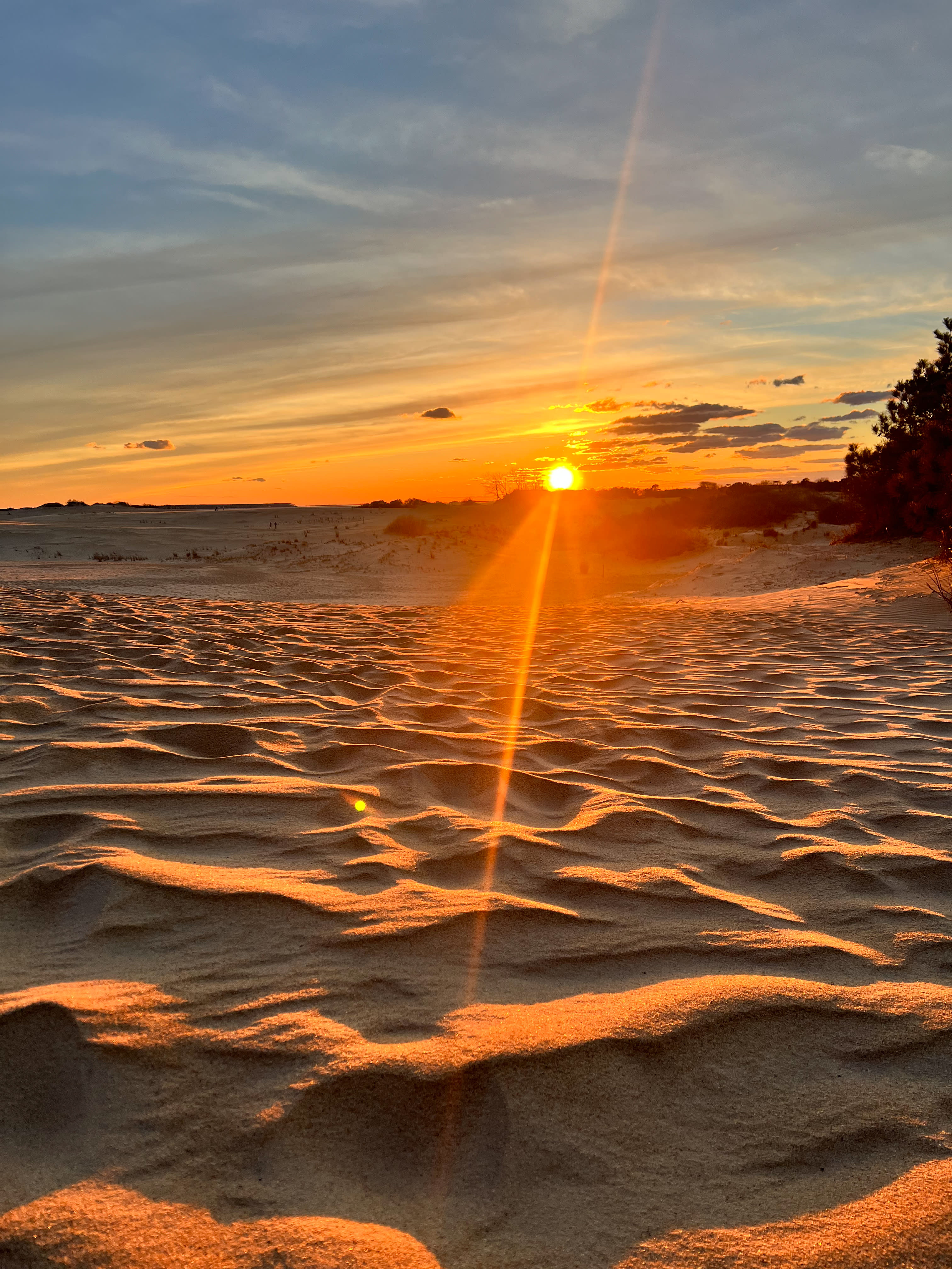 Advisor - OBX: Vibes > Plans