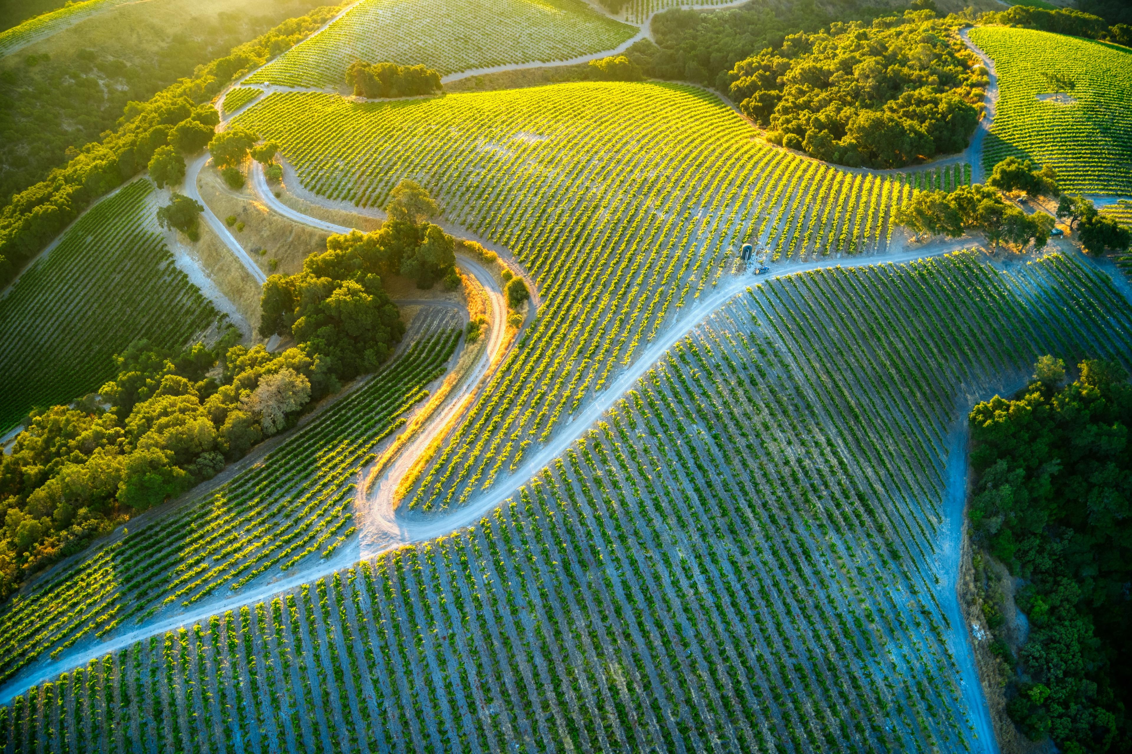 Advisor - Discover Paso Robles
