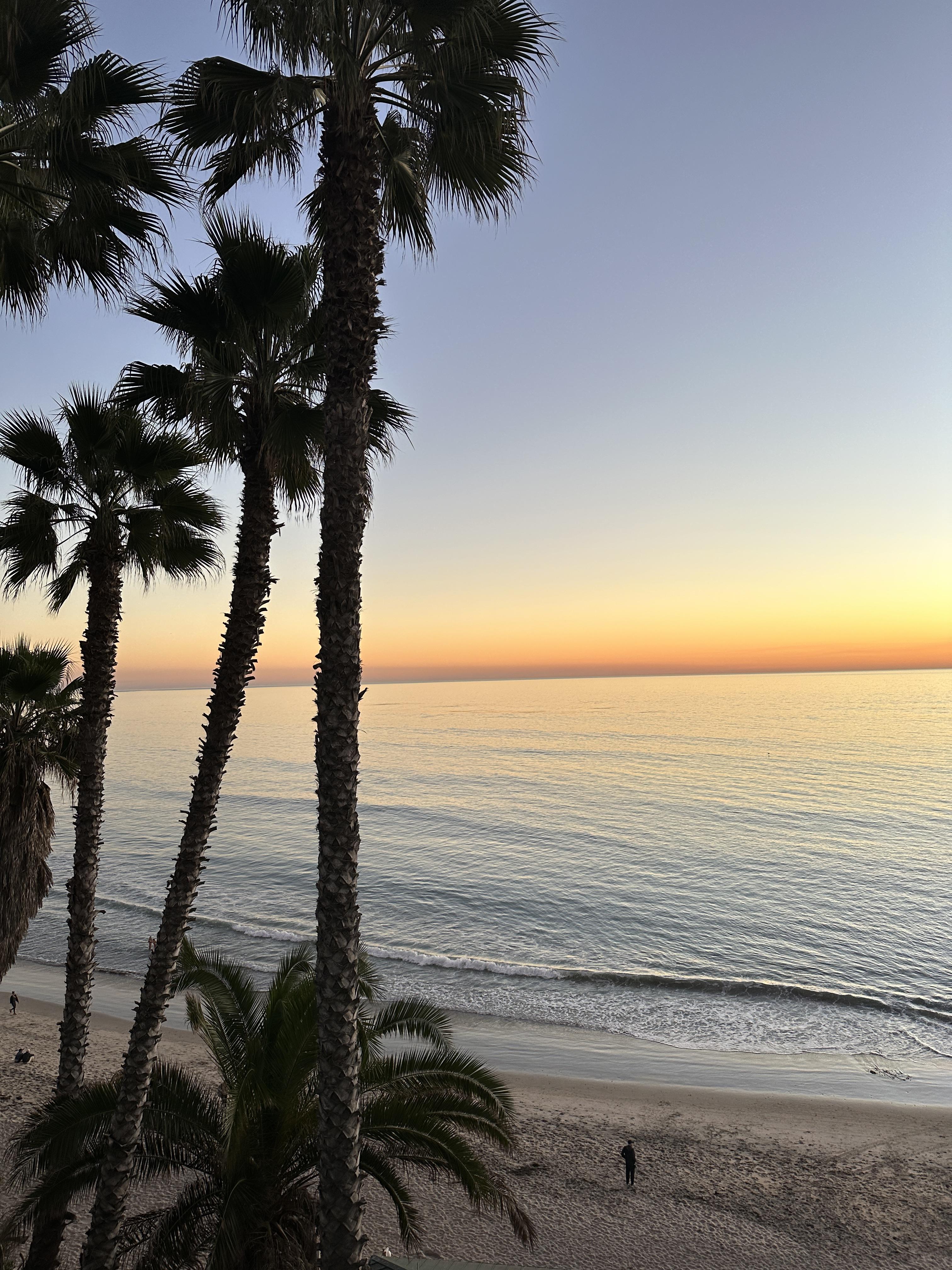 Advisor - A San Diego Beach Weekend Getaway: Locals' Favorite Spots