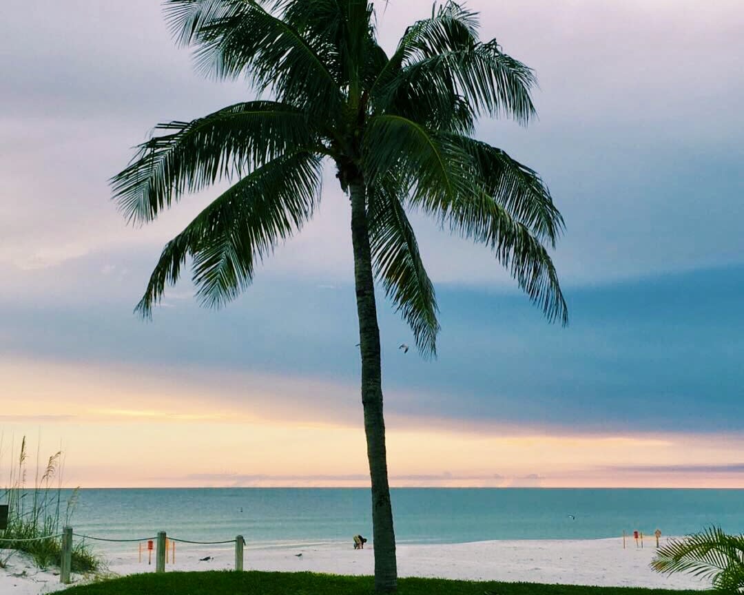 Advisor - Anna Maria Island: The Gulf Coast’s Most Charming Beach Destination
