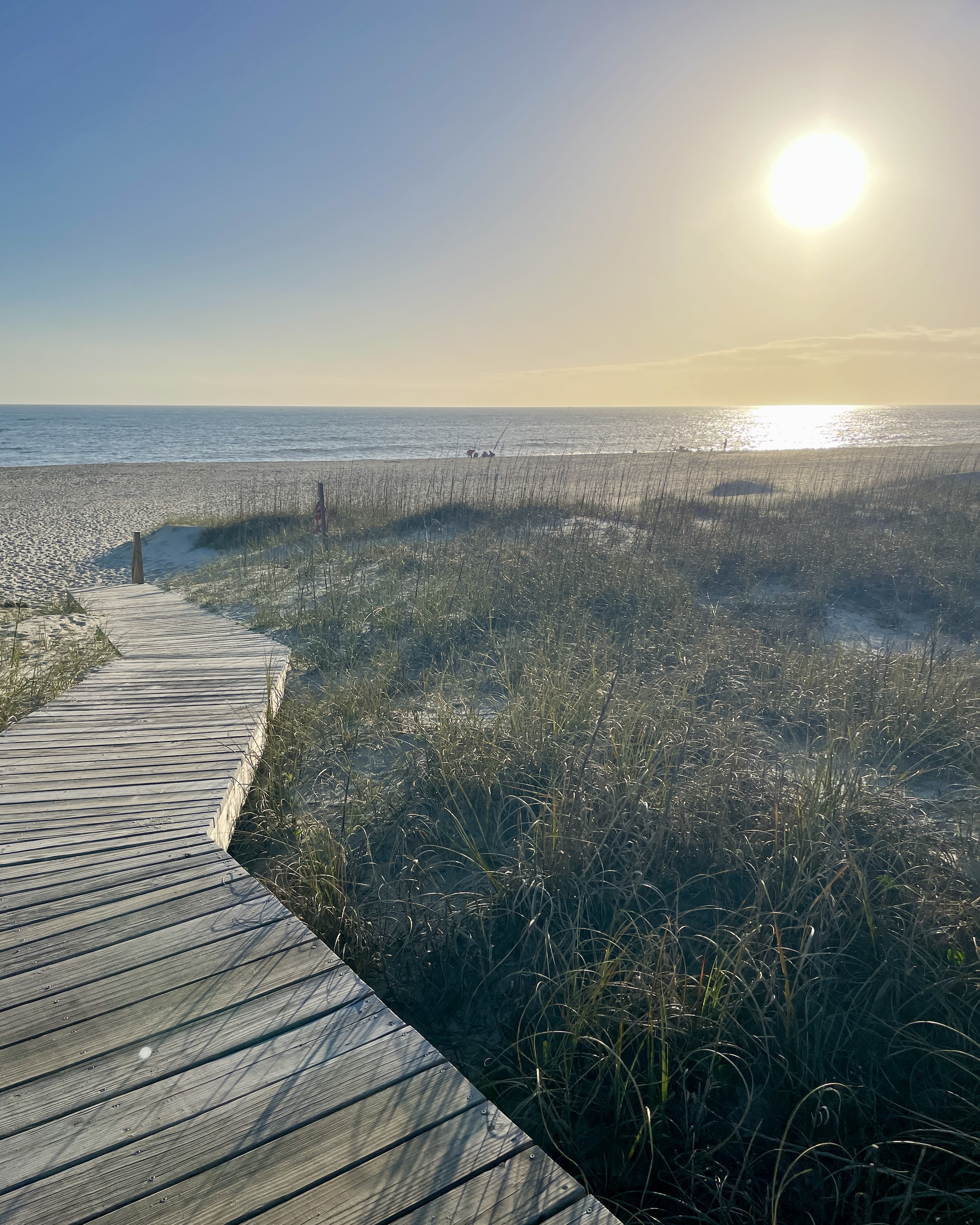 Advisor - Coastal Calm: A Guide to the Car Free Life on Bald Head Island