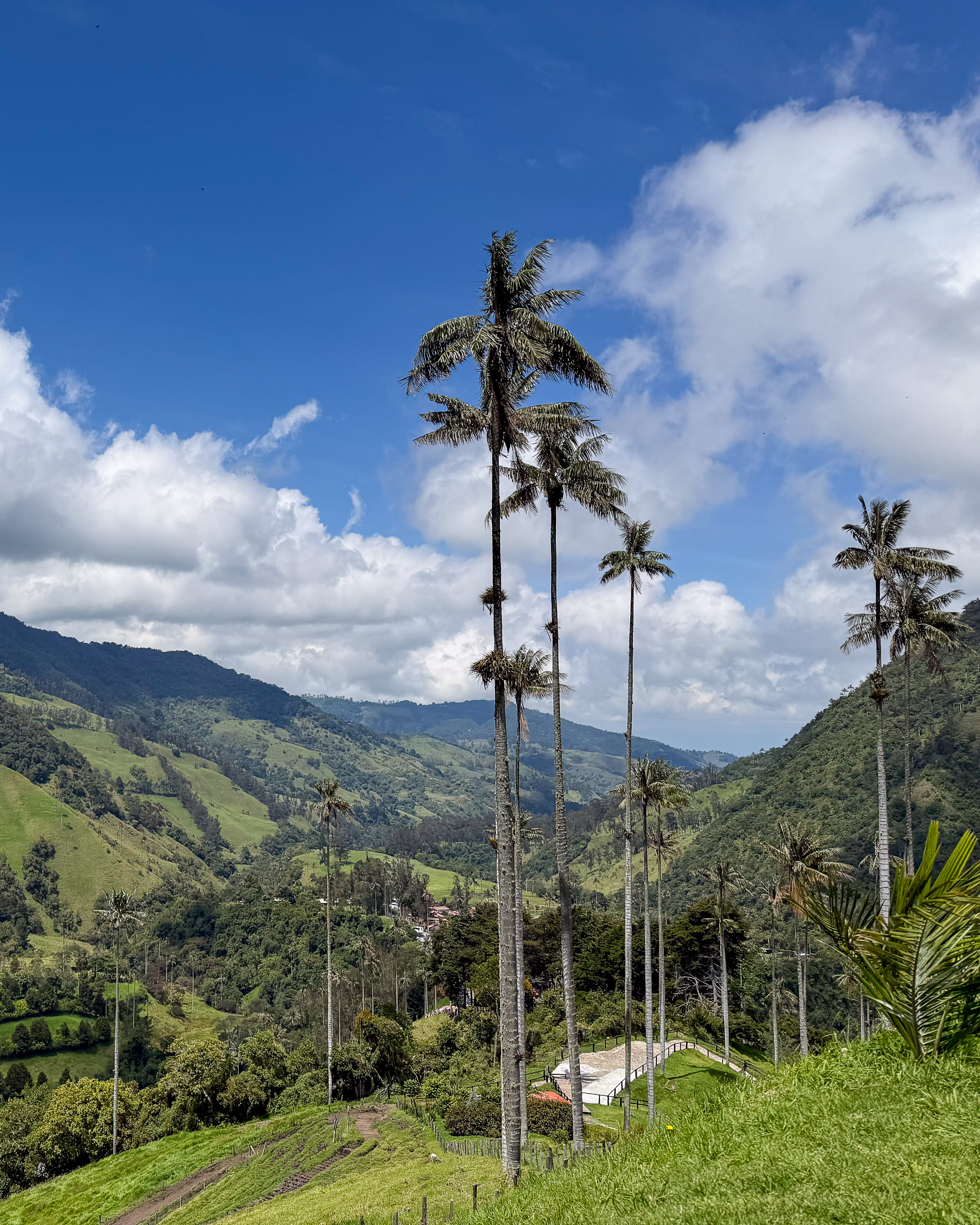Salento: Peaks, Palms & Pour-Overs