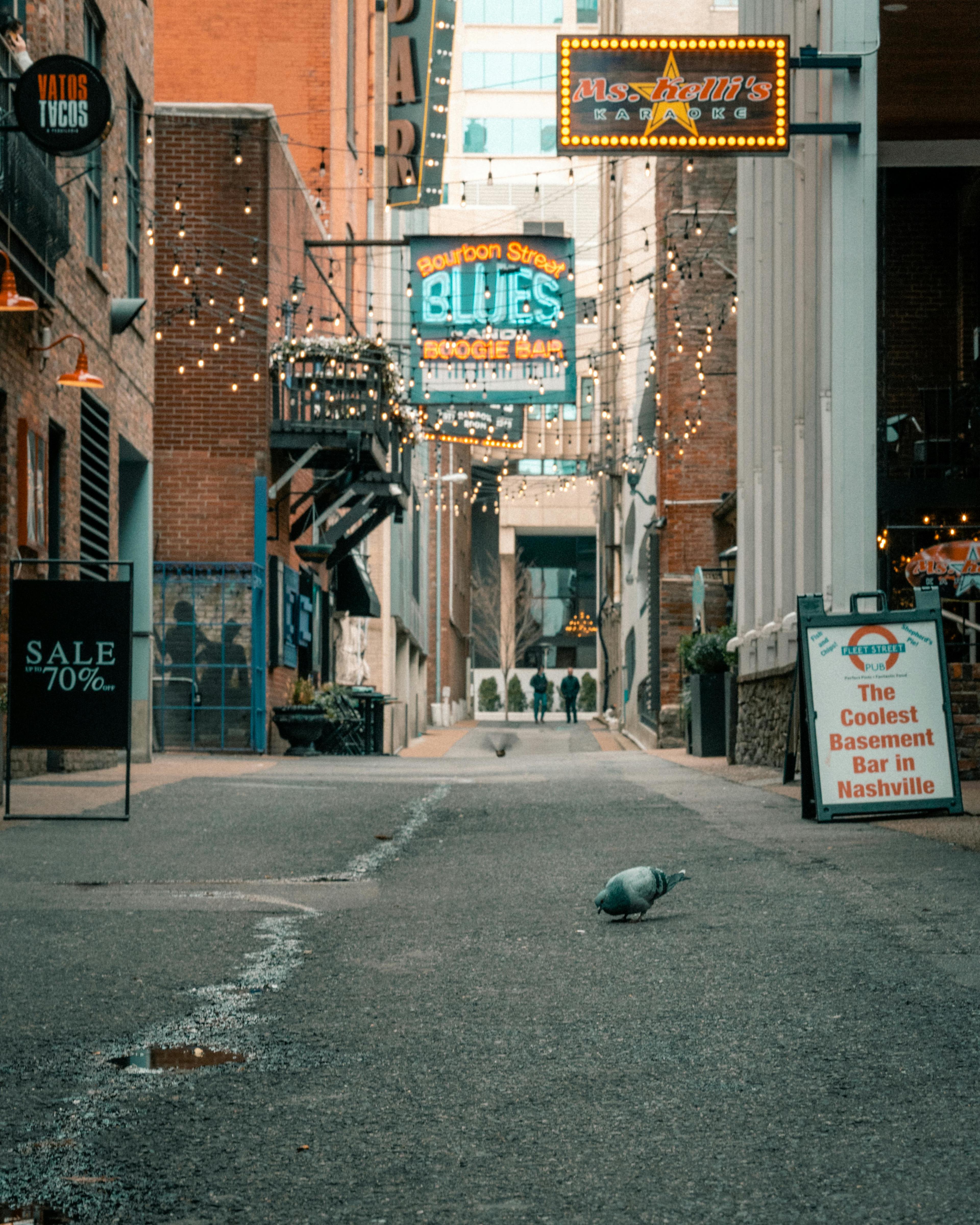 Advisor - What a Local Would Do: A Weekend in Nashville
