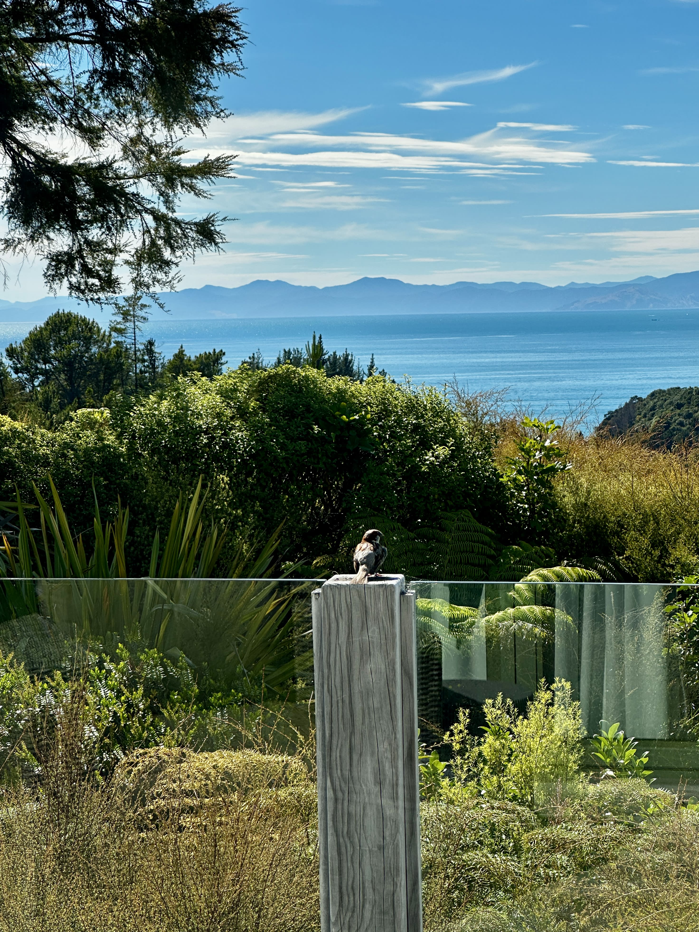 Domu Retreat: A Slower, More Meaningful Luxury Stay in Abel Tasman